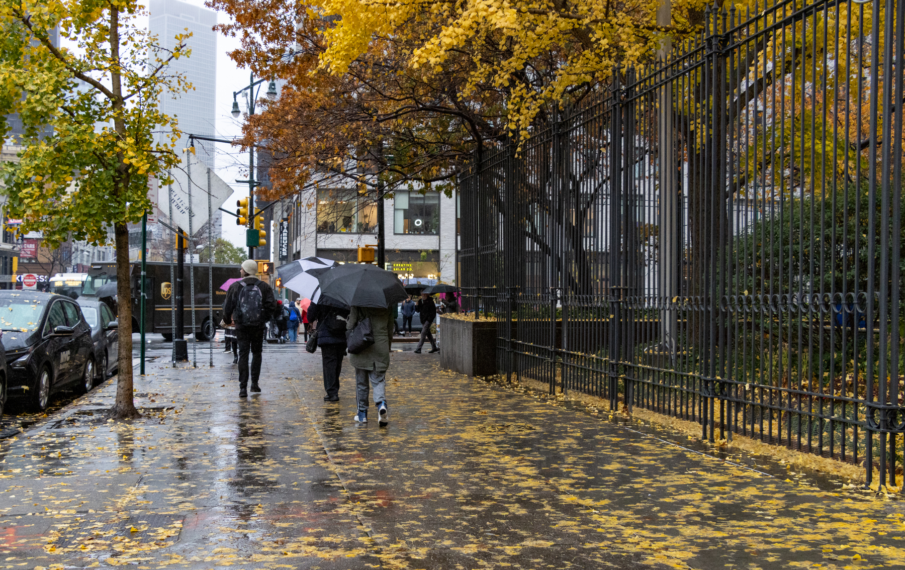 brooklyn - rainy and leafy sidewalk in downtown brooklyn