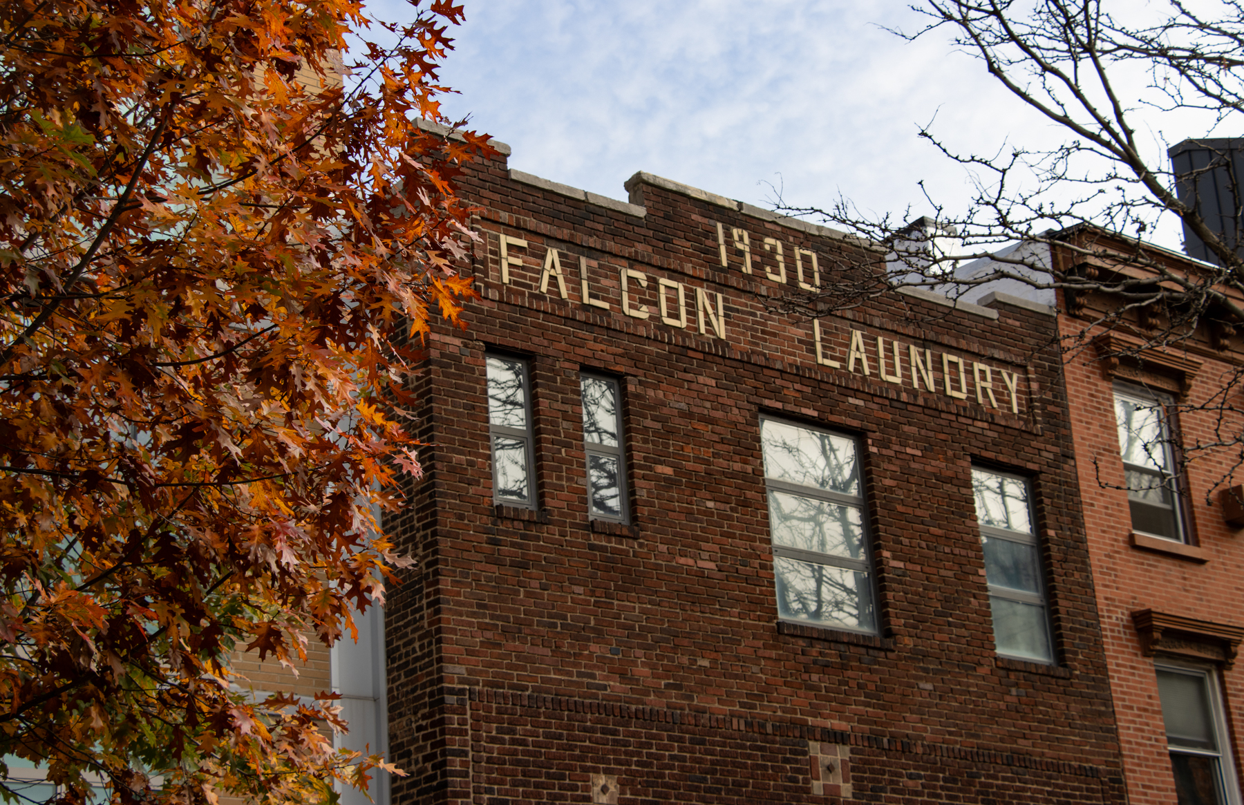 brooklyn - fall leaves next to a brick building with falcon laundry on pediment