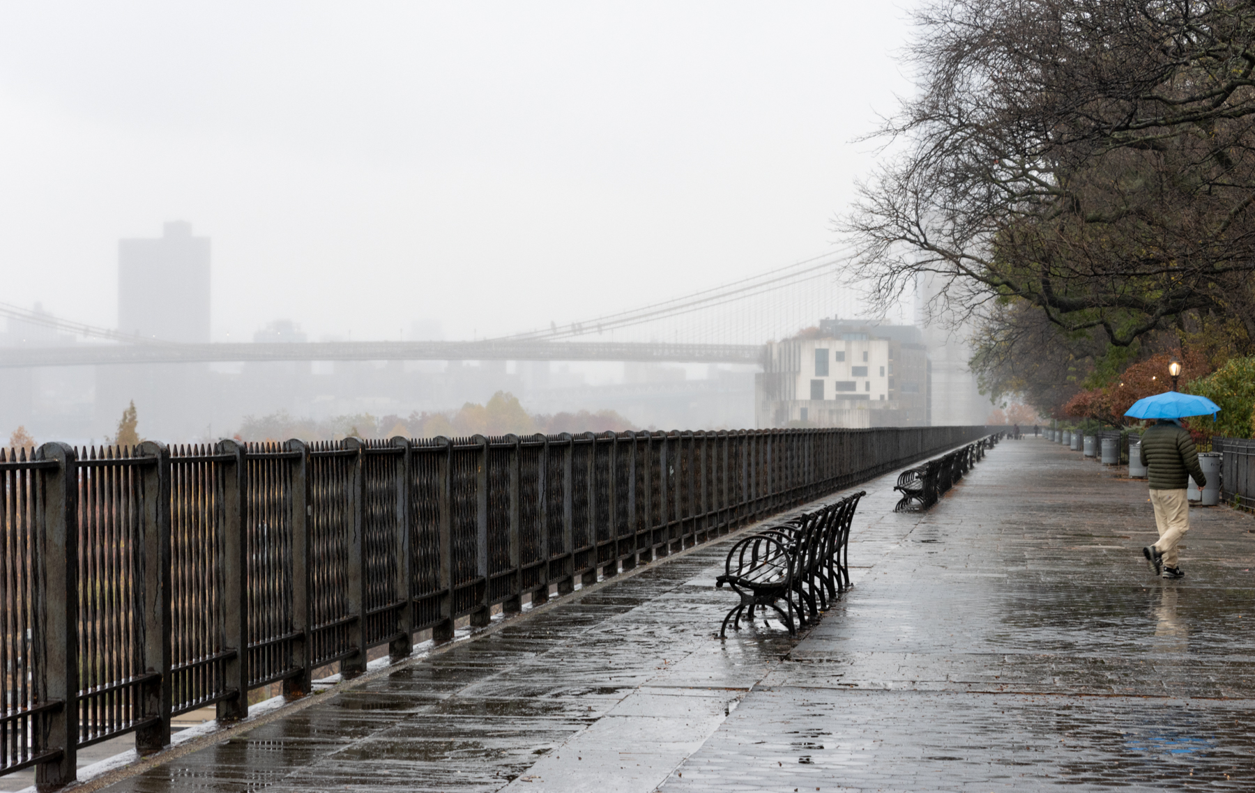 brooklyn - someone walking in the rain with a blue umbrella on the brooklyn heights promenade