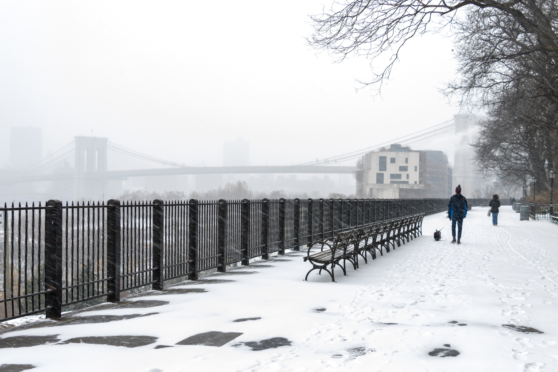 brooklyn - people walking in the snow on the Brooklyn Heights Promenade