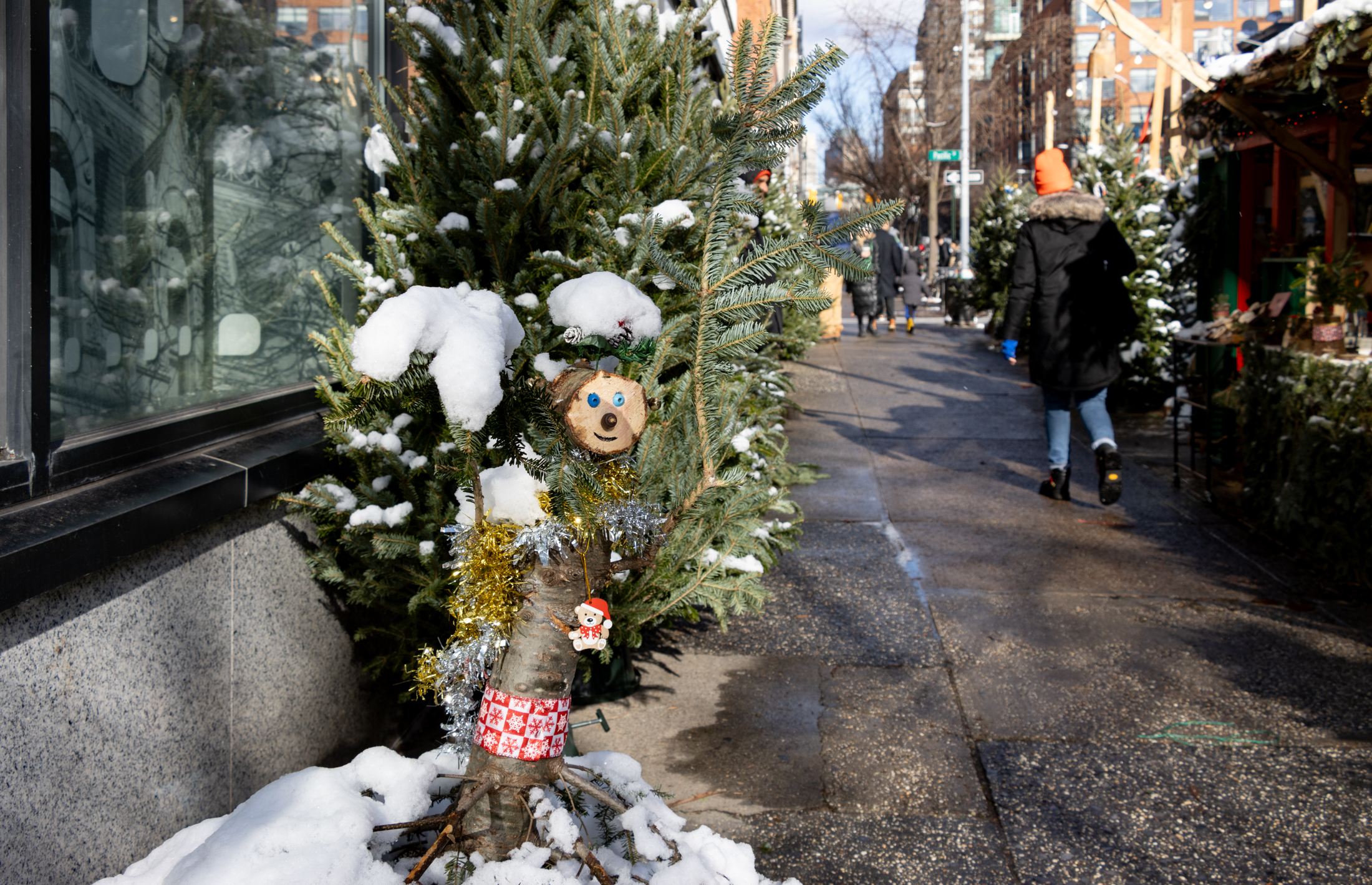 brooklyn - christmas trees on the sidewalk