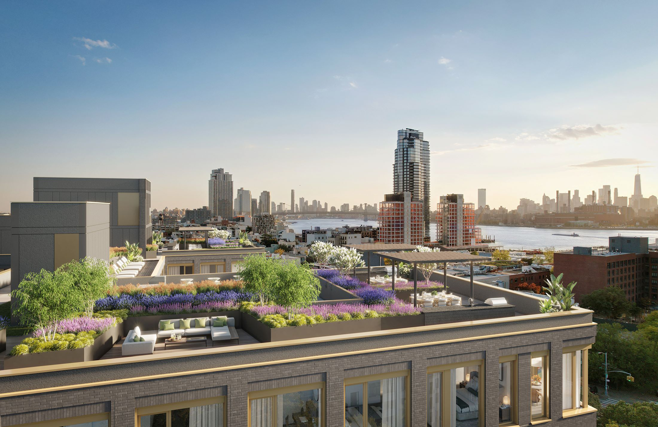 rendering of a roof deck with plantings