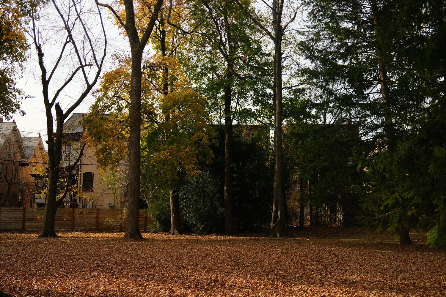 lawn with large trees