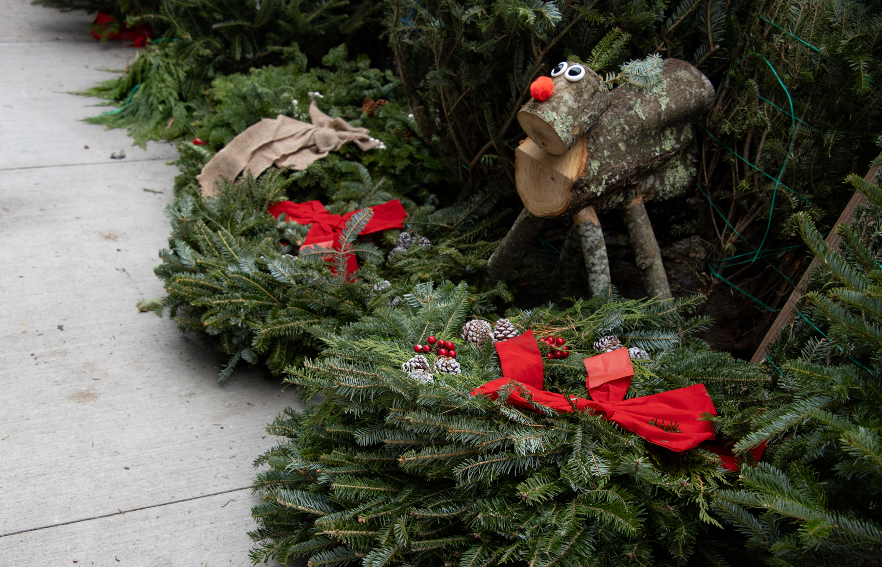 brooklyn - wreaths and a reindeer at a christmas tree stand in Williamsburg