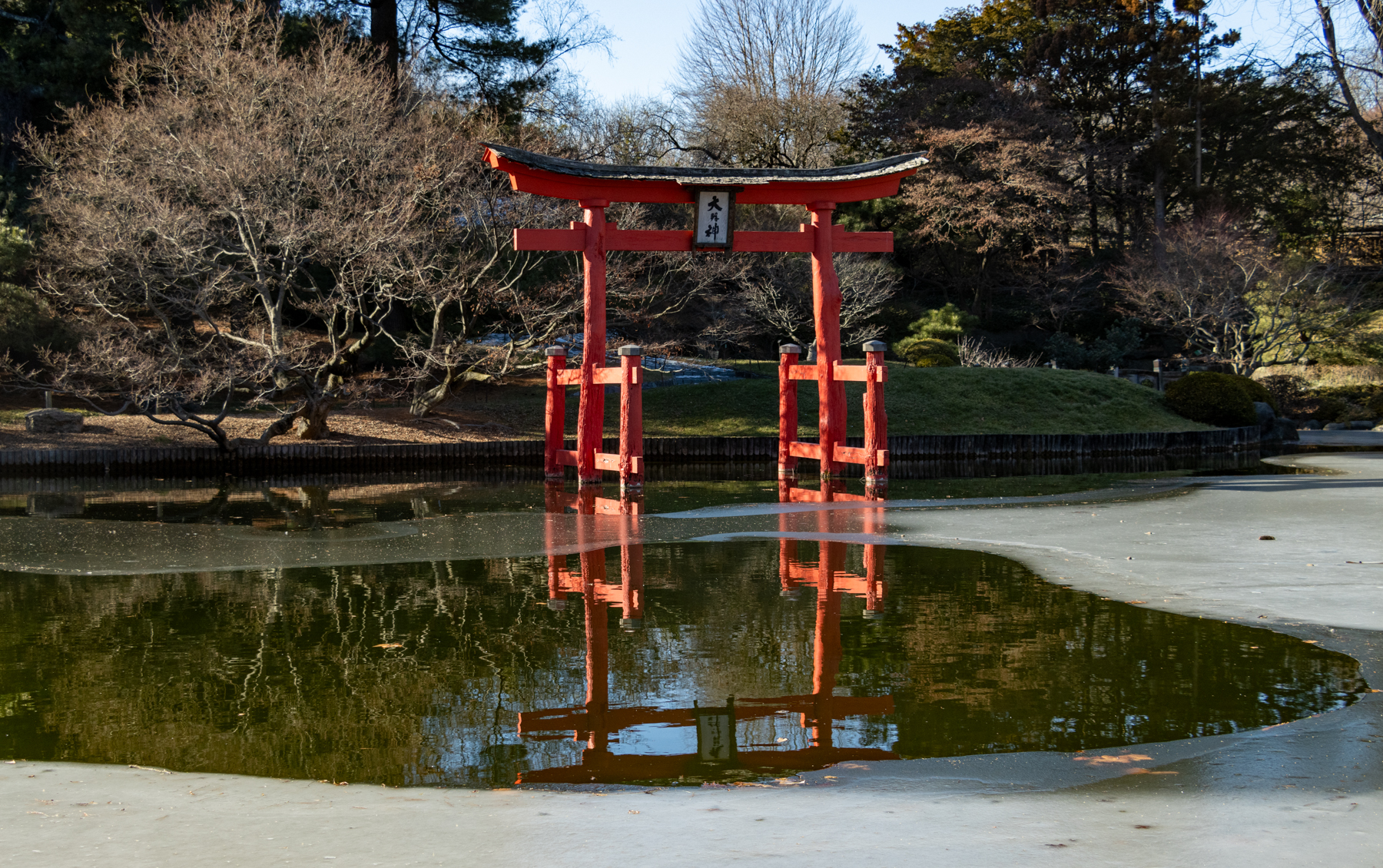 brooklyn - japanese garden at brooklyn botanic garden