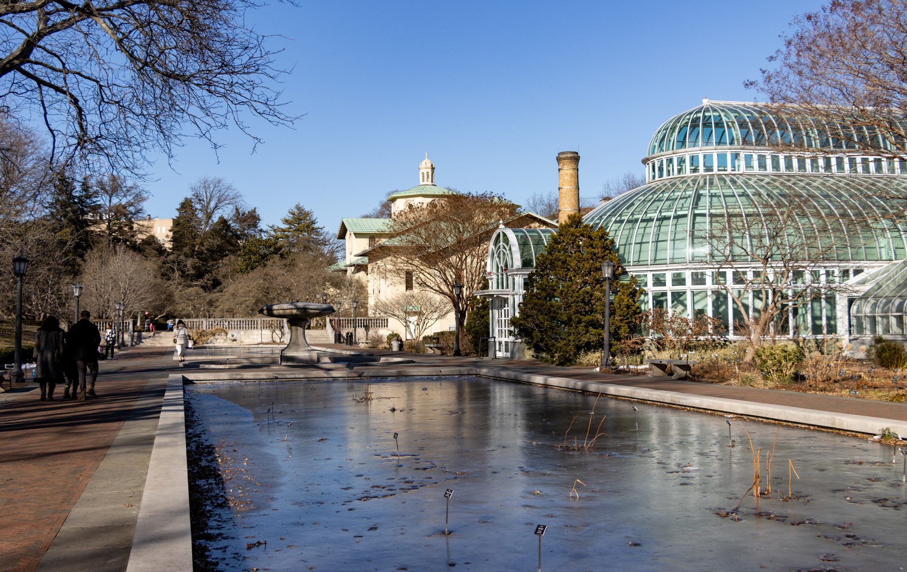brooklyn- frozen lily pond at brooklyn botanic garden