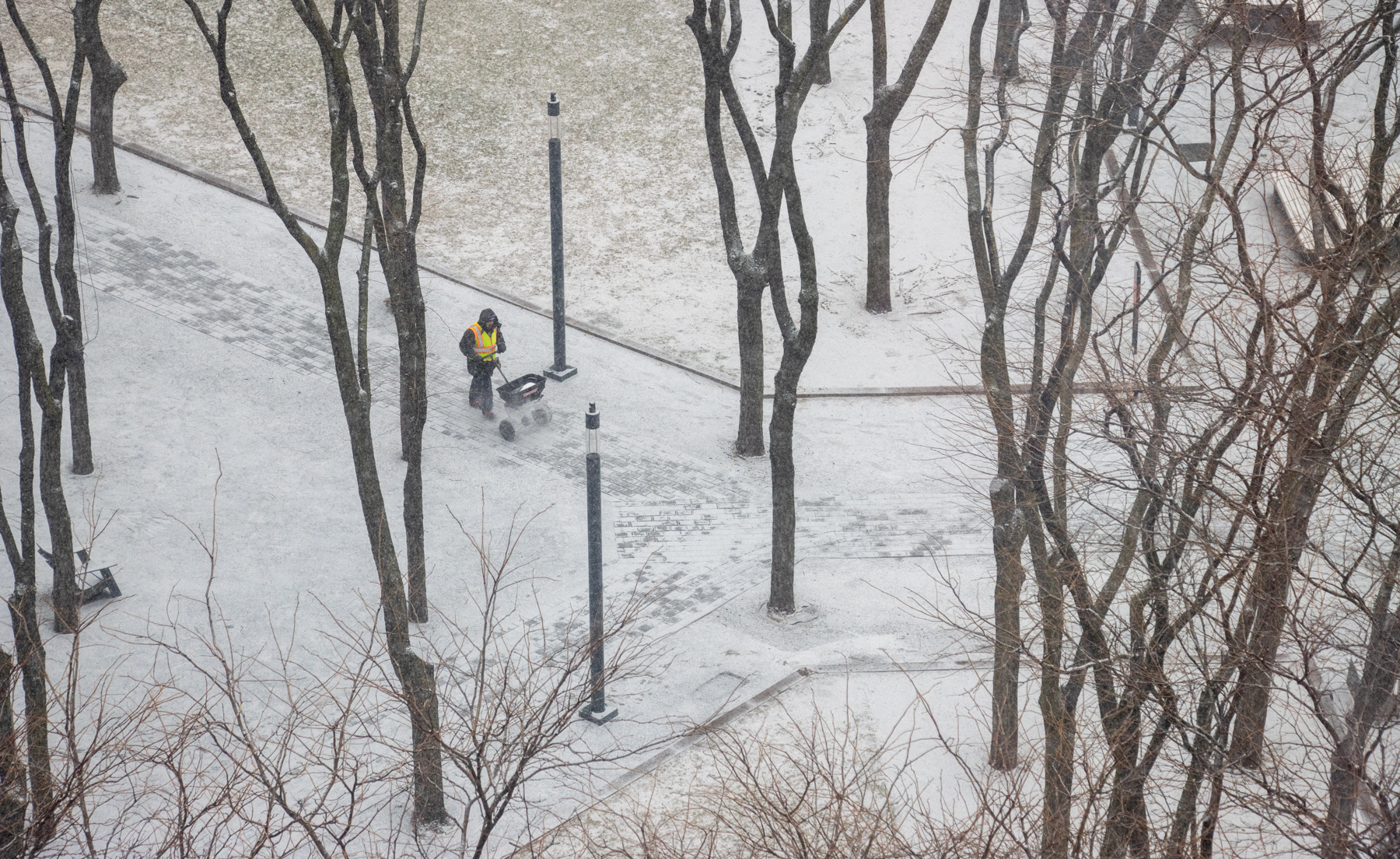 brooklyn - worker spreading salt in downtown brooklyn