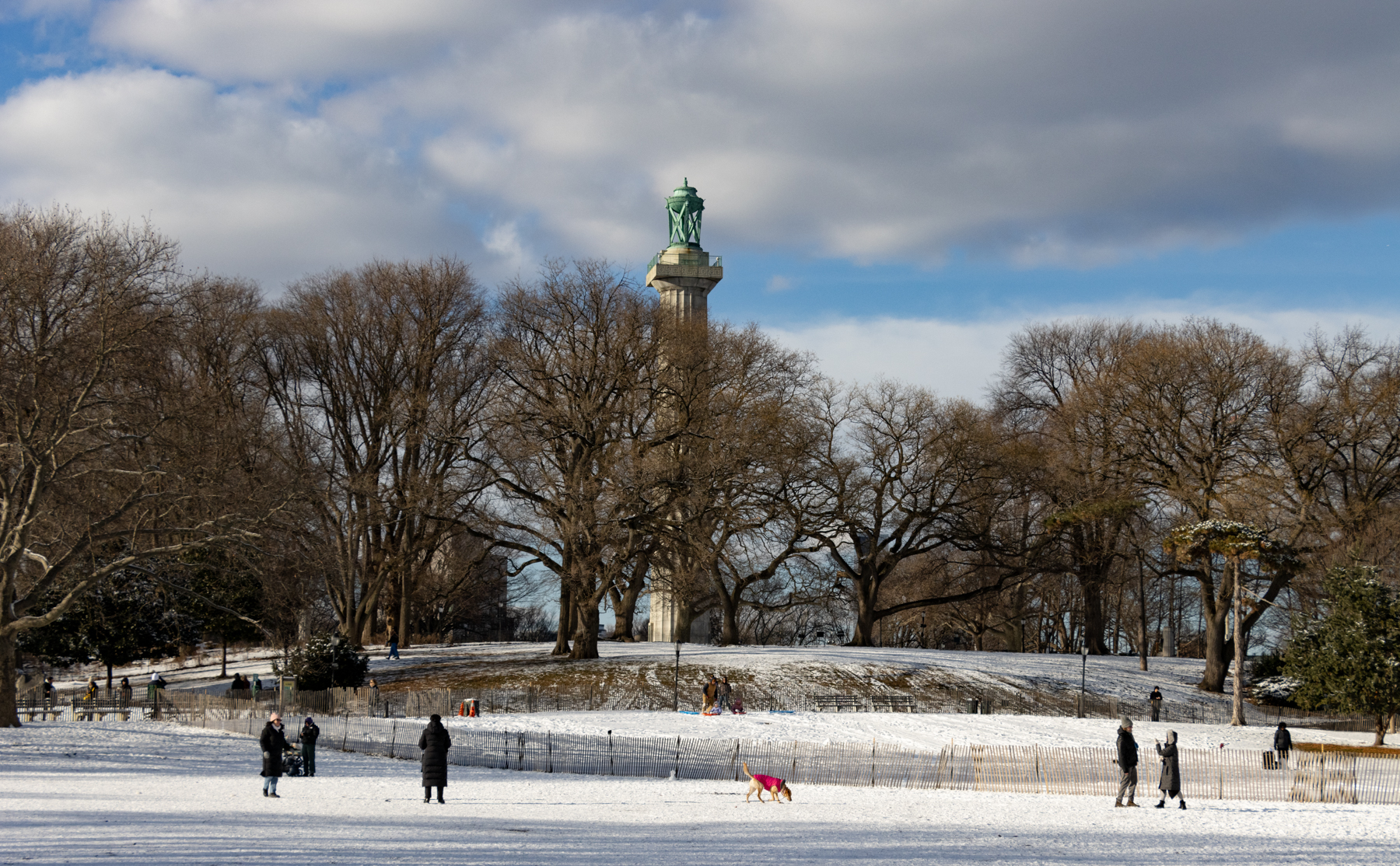 brooklyn - people enjoying the snow in Fort Green Park