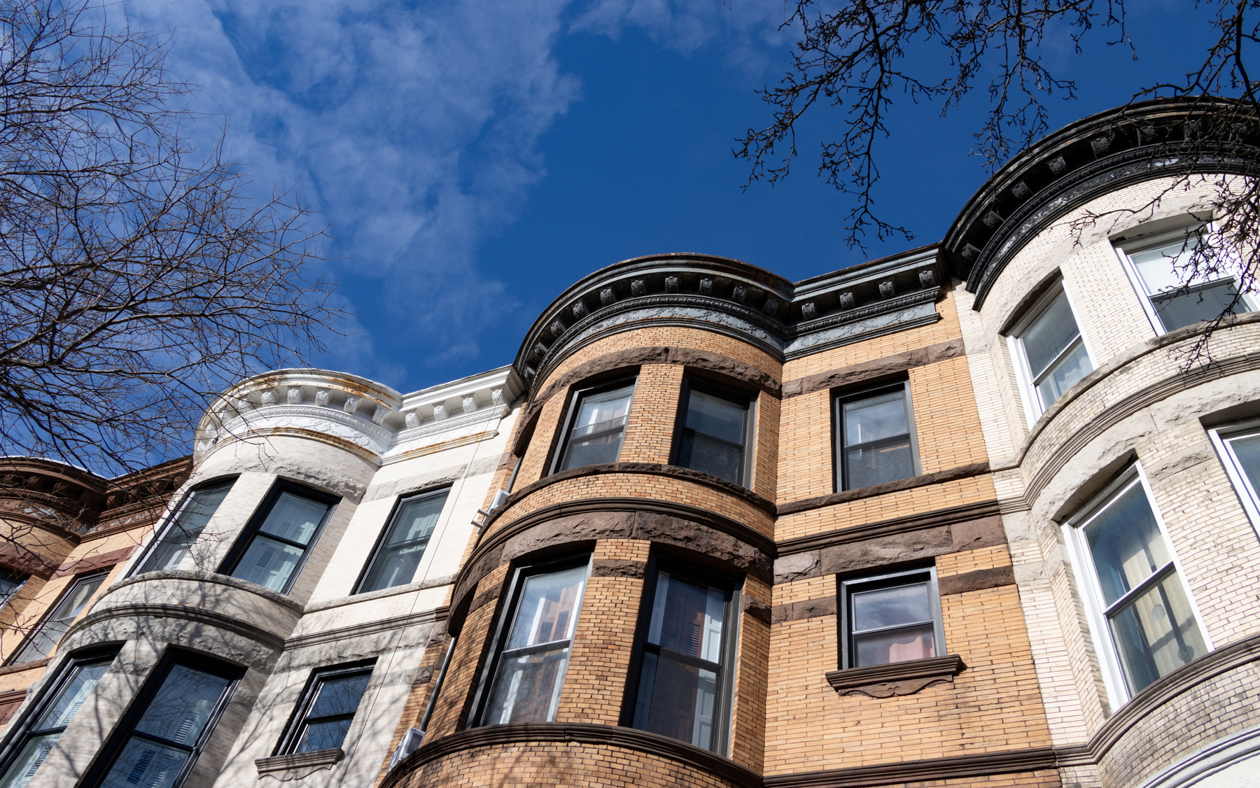 brooklyn - bow front row houses