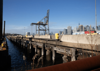 Wooden beams showed signs of decay underneath a pier at the Red Hook Container Terminal