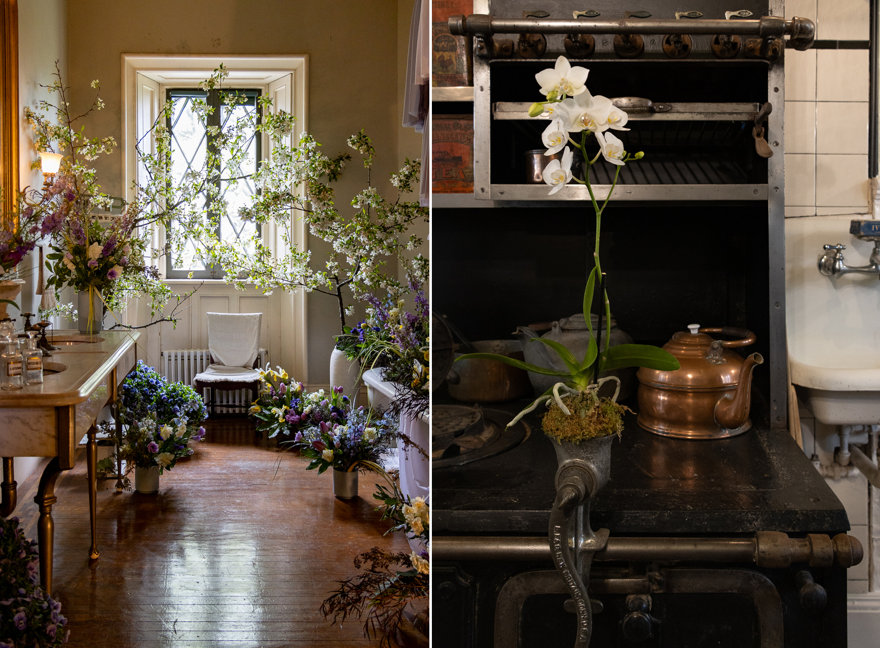 flowers in a bathroom and an orchid in the kitchen