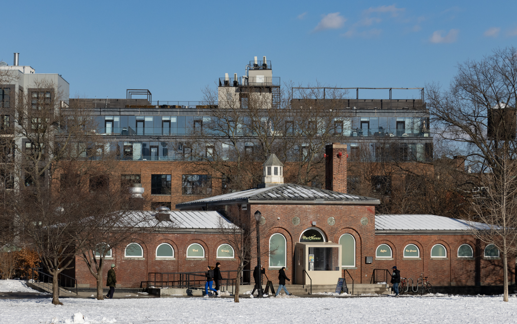 brooklyn - snow in mccaren park in williamsburg