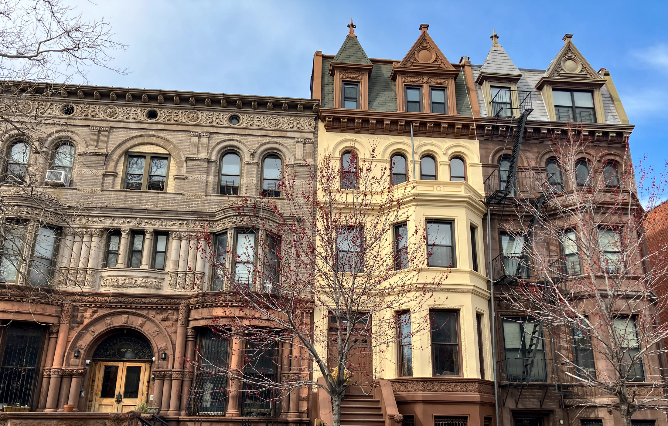 brooklyn - row houses in bed stuy