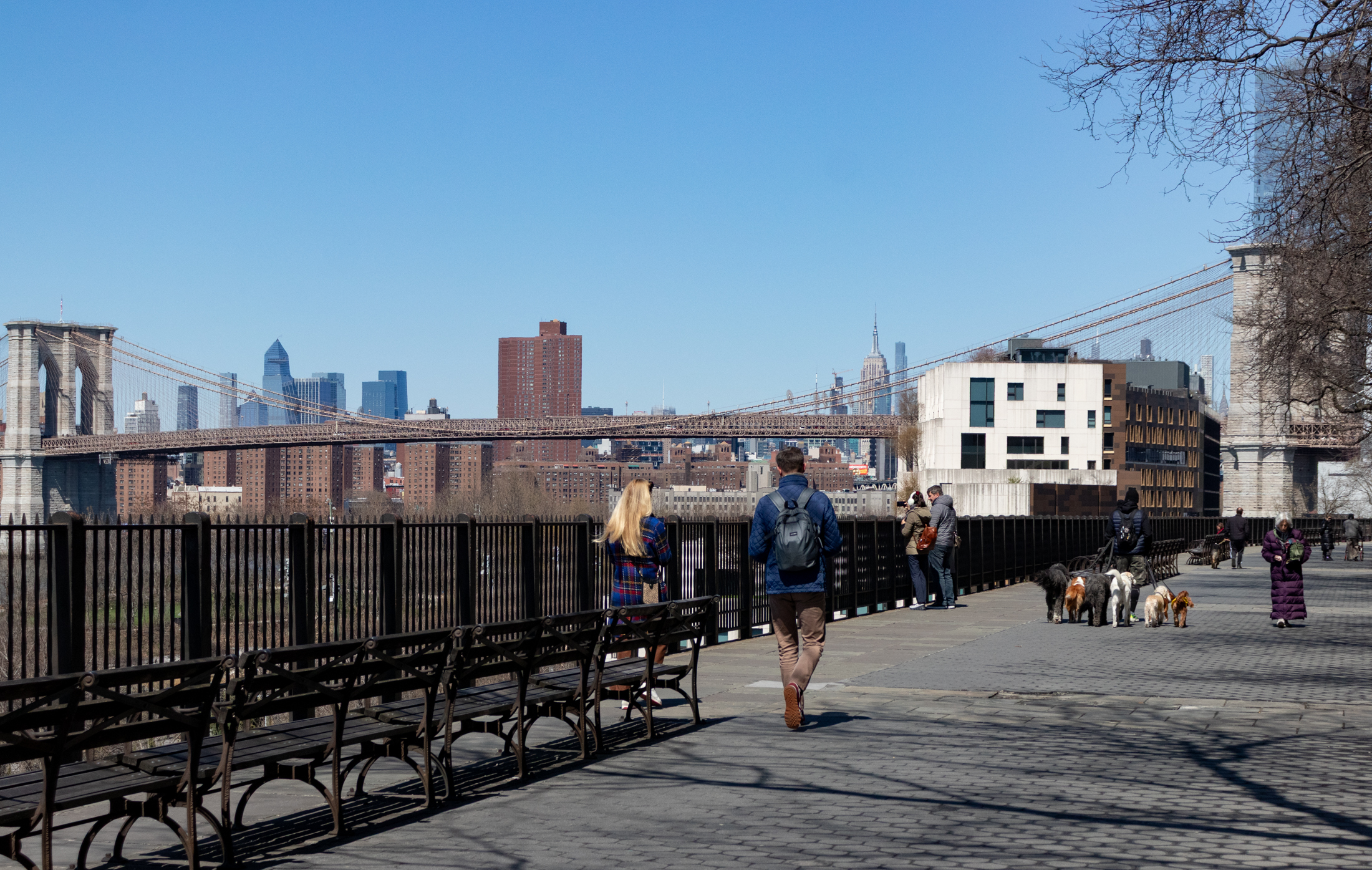 brooklyn - pedestrians strolling on the brooklyn heights promenade
