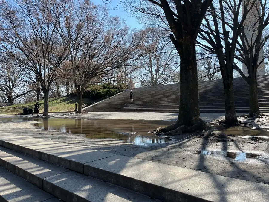 A handful of Zelkova trees on the landing are set to be removed, Fletcher said, because they cause flooding and drainage issues.