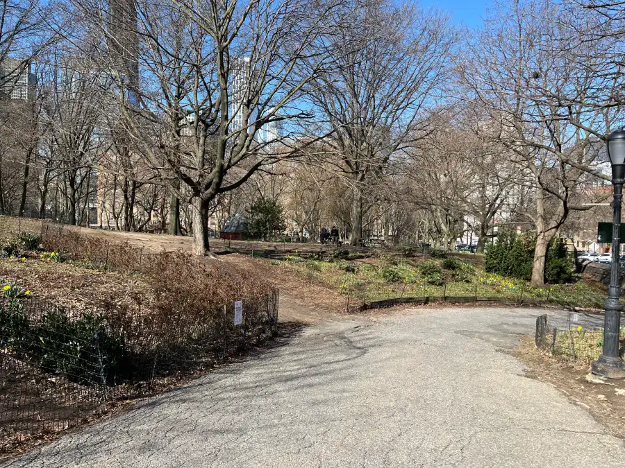 Many of the park’s paved paths are old and in poor shape.
