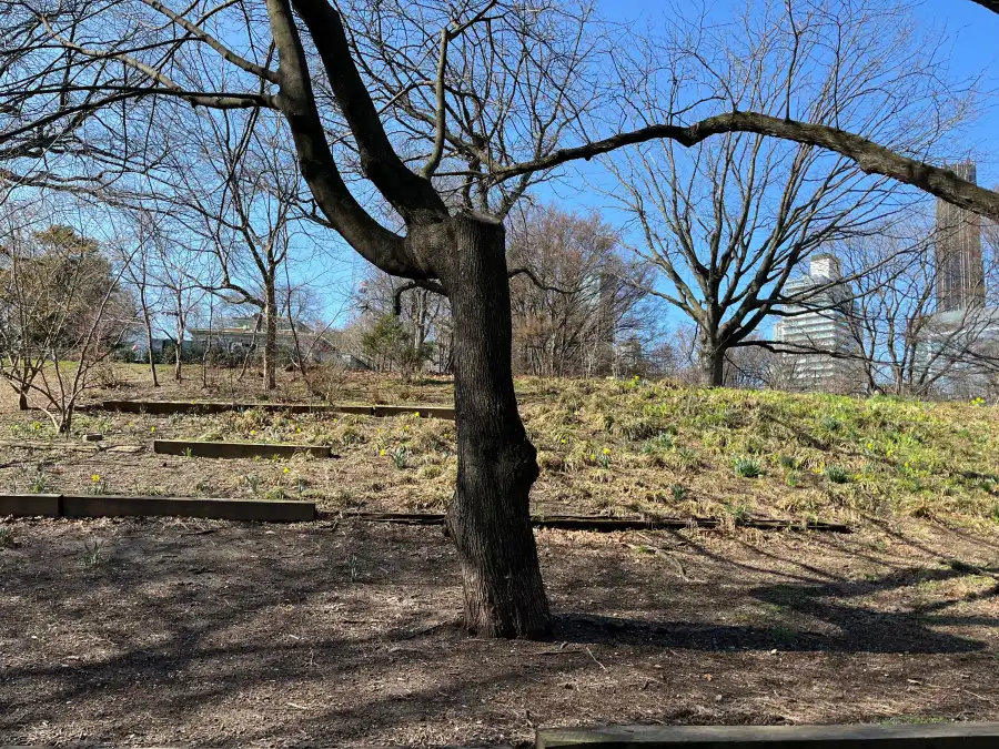 Wooden “railroad ties” have been installed in several areas of the park to help prevent erosion.