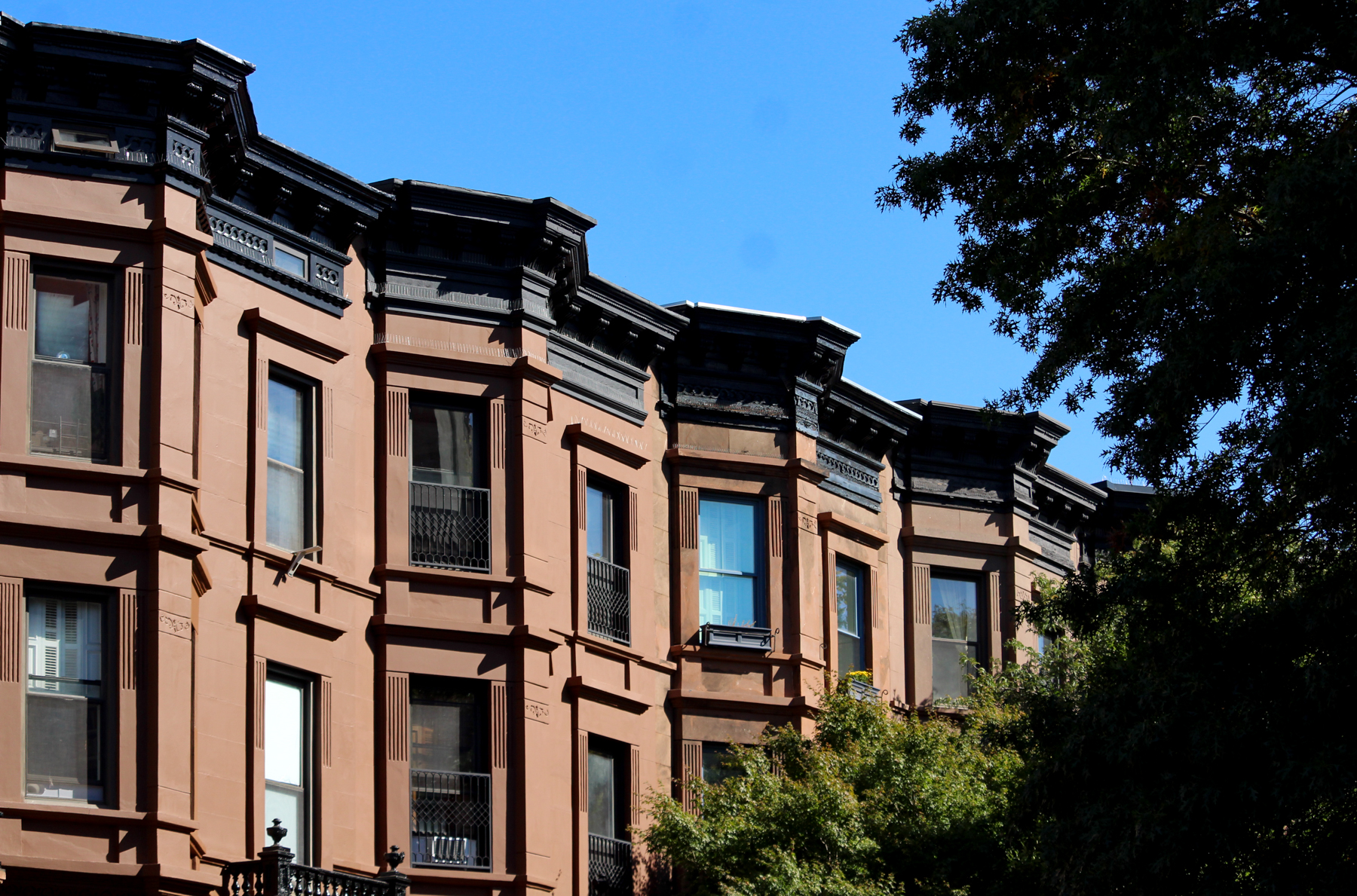 brooklyn - row of brownstones