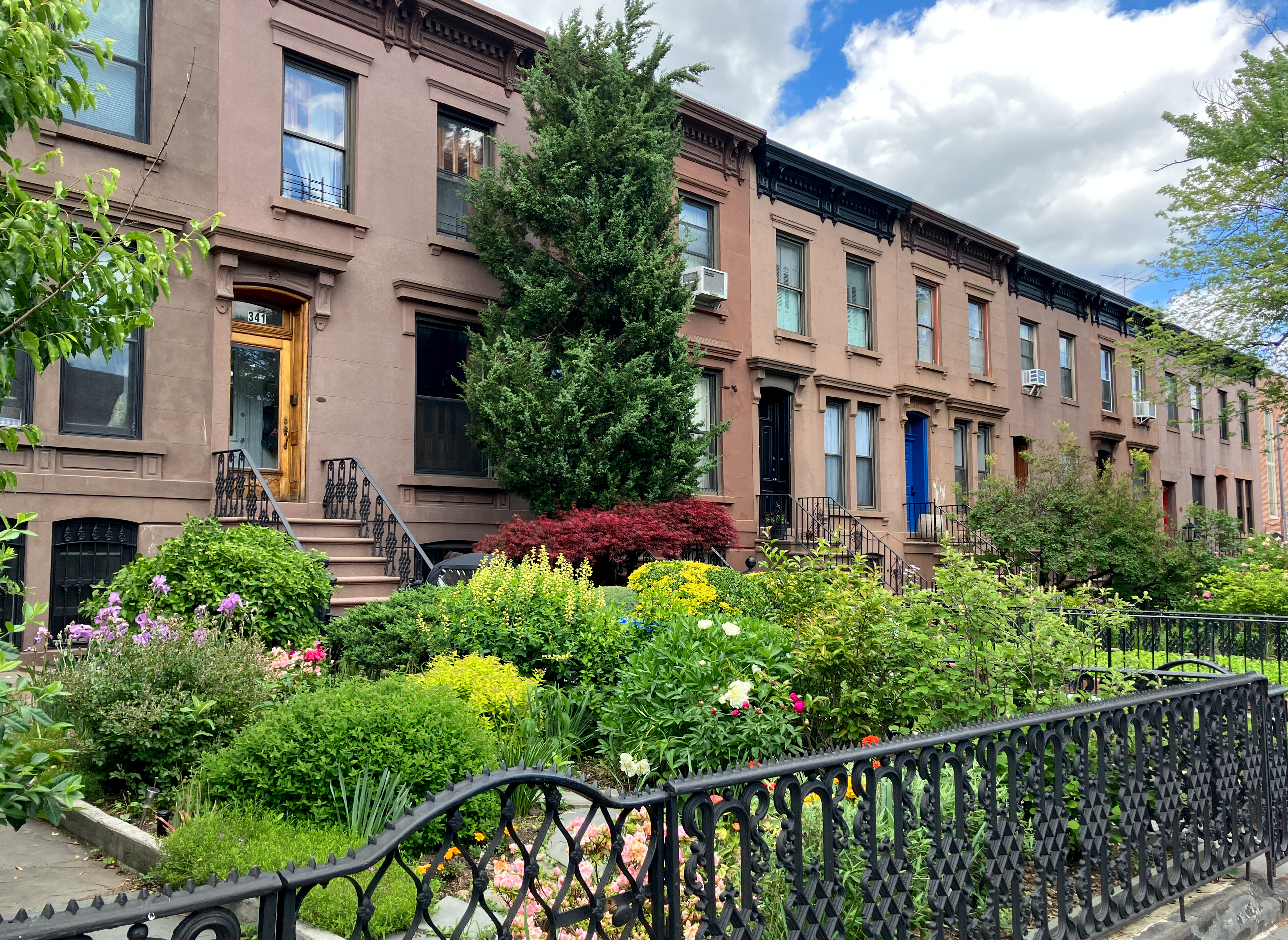brooklyn - carroll gardens streetview with brownstones and front gardens