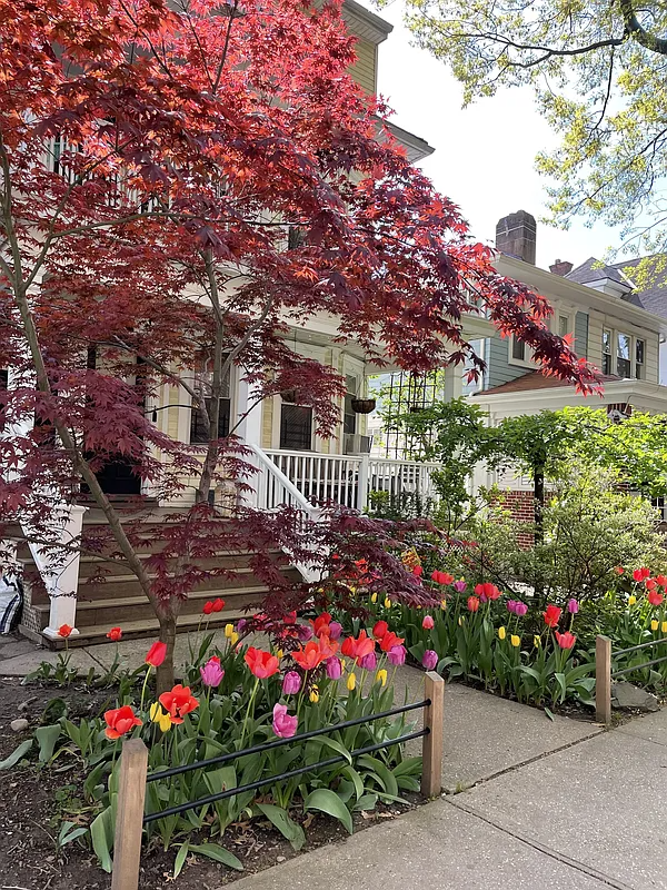 flower-filled front yard with glimpse of a porch