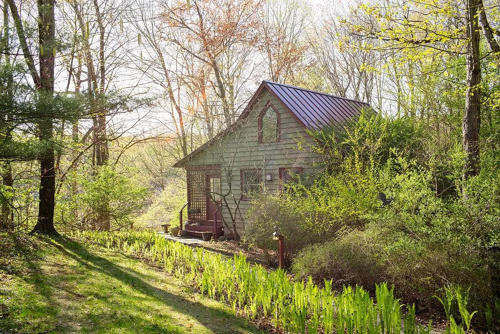 view of one of the cottages behind a stretch of ferns