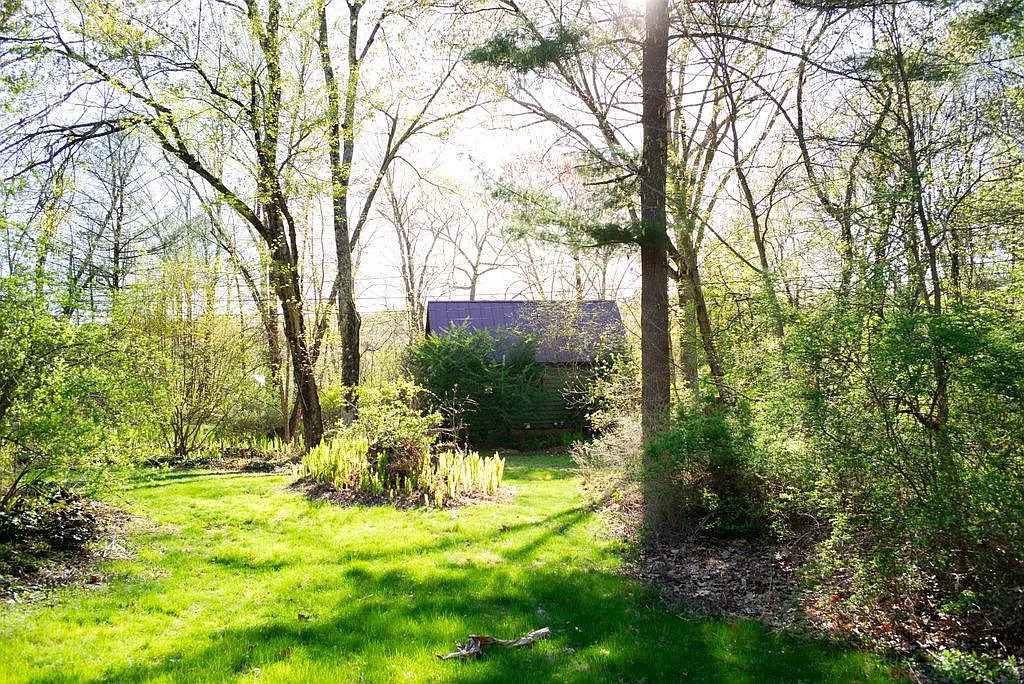 property with trees, ferns, lawn and a glimspe of a cottage