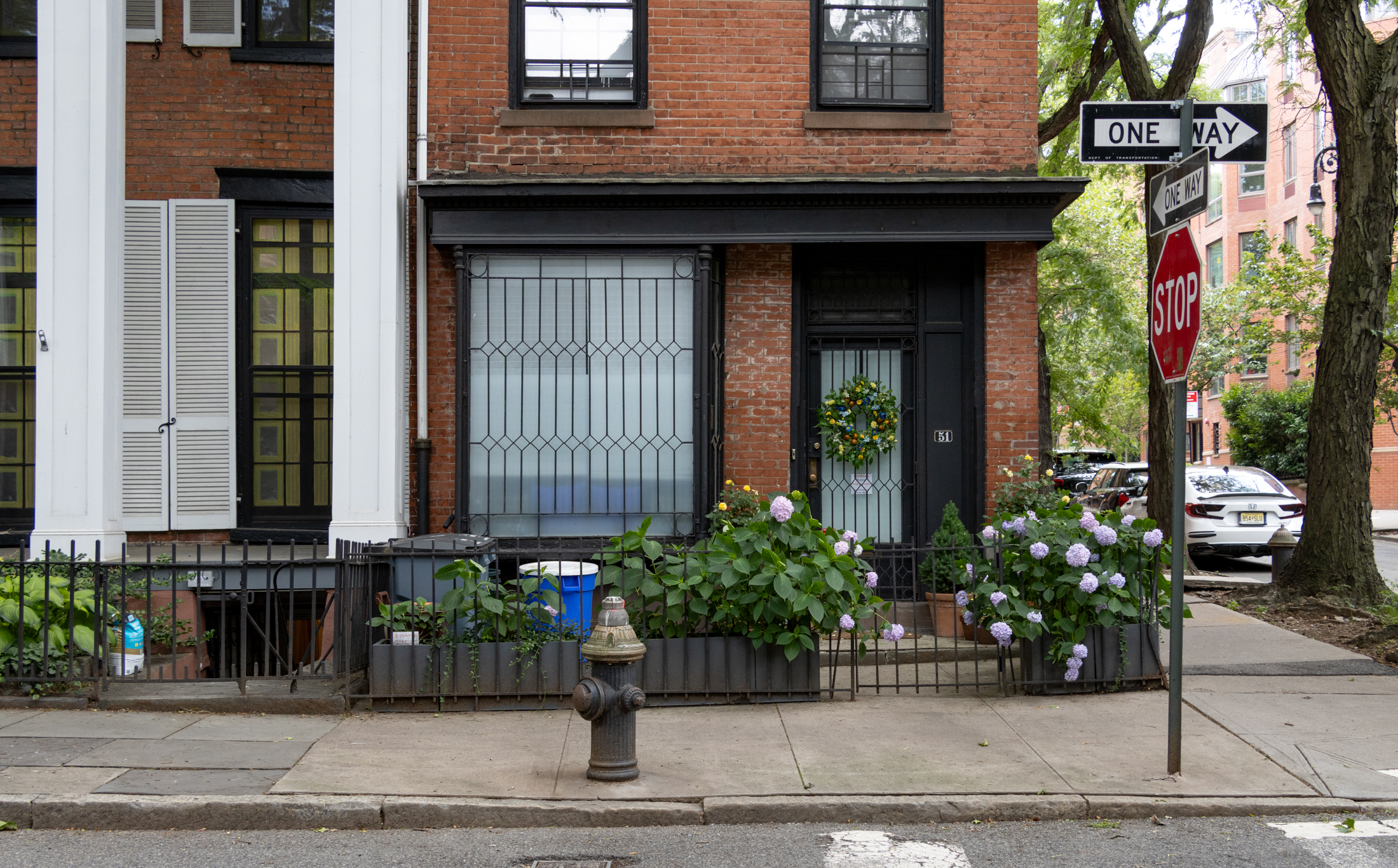 brooklyn - hydrangeas growing in front of brick houses on willow place