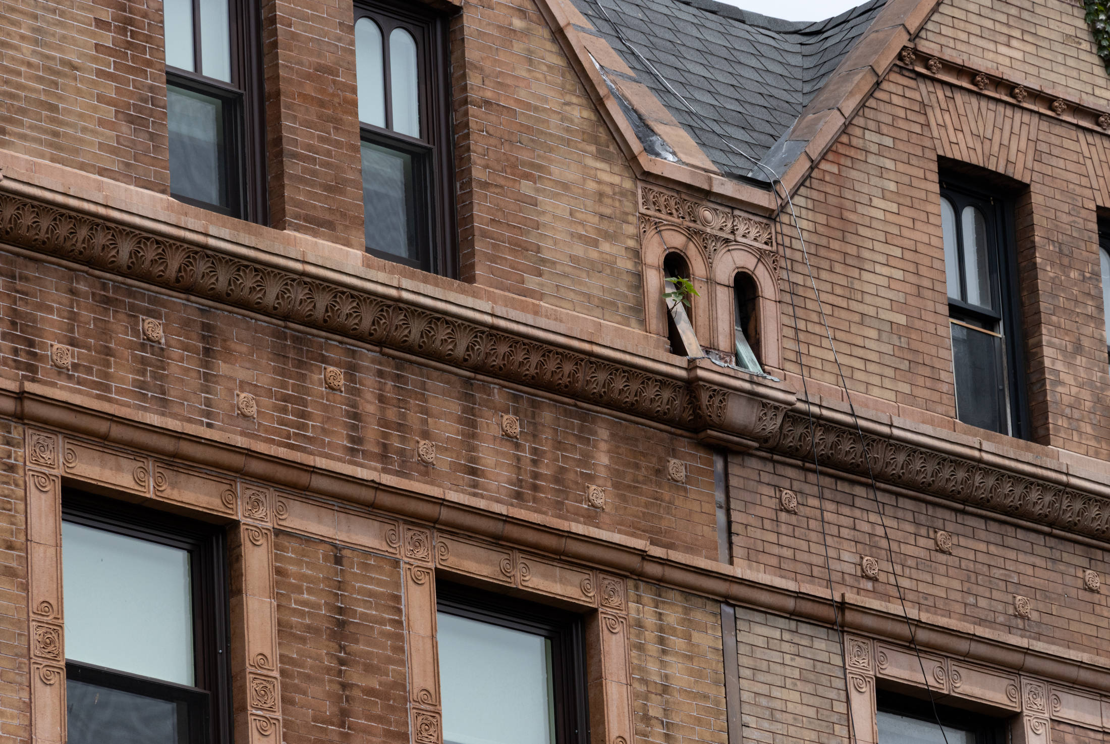 brooklyn - terra cotta details on a brick townhouse on clinton avenue