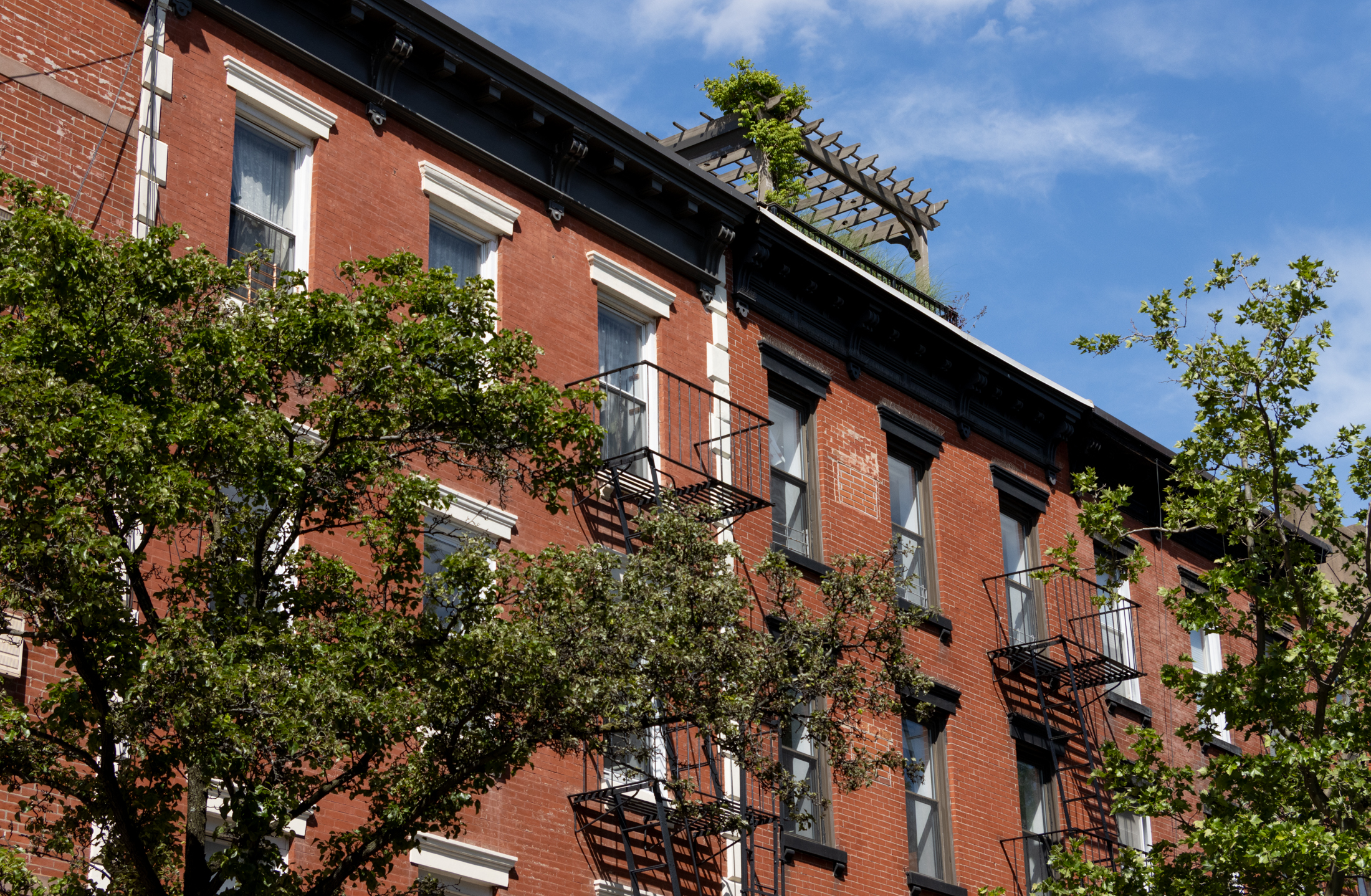brooklyn - a brick rowhouse with a pergola on the roof