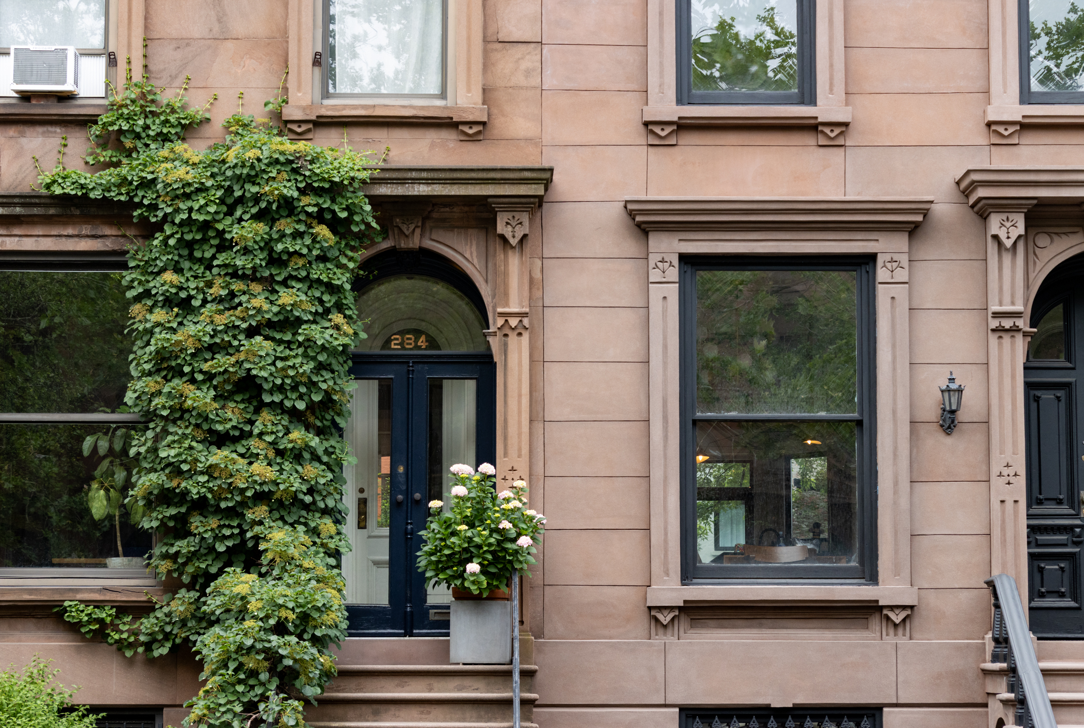 brooklyn - brownstone stoop with a climbing hydrangea and a planter on the stoop