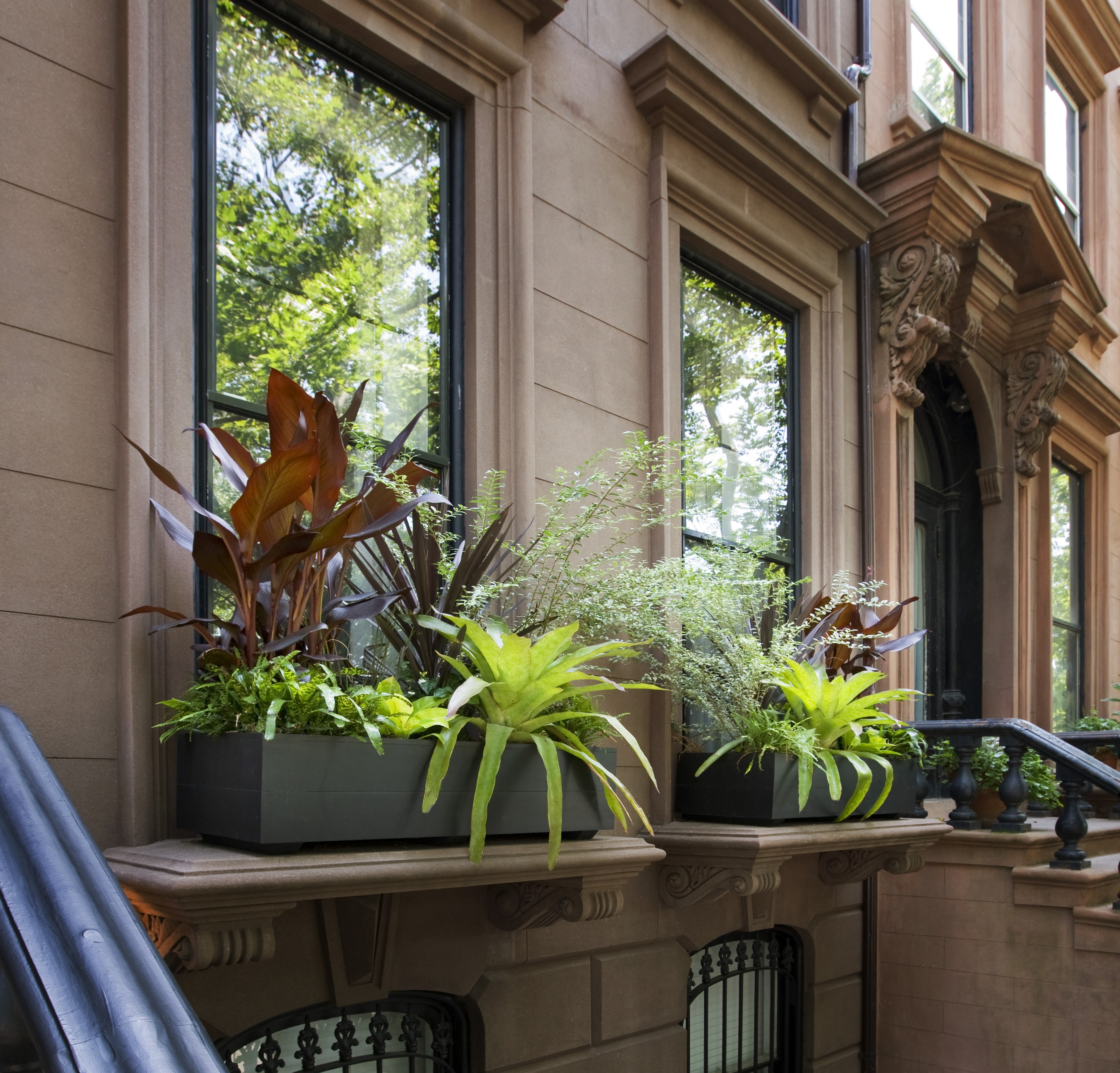 CLOSE UP WINDOW BOXES FRONT
