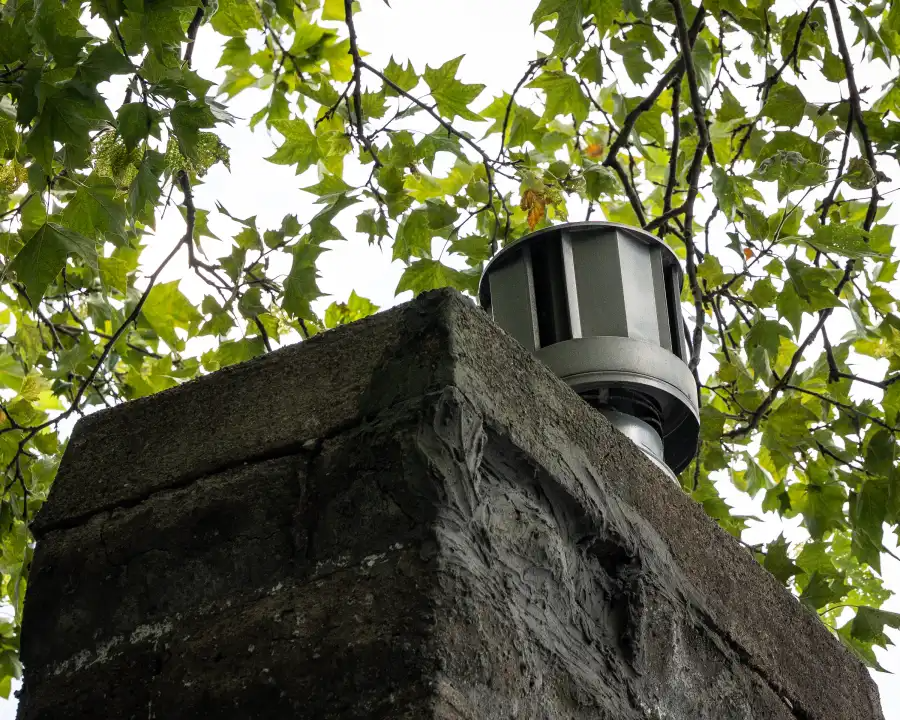 chimney with branches above