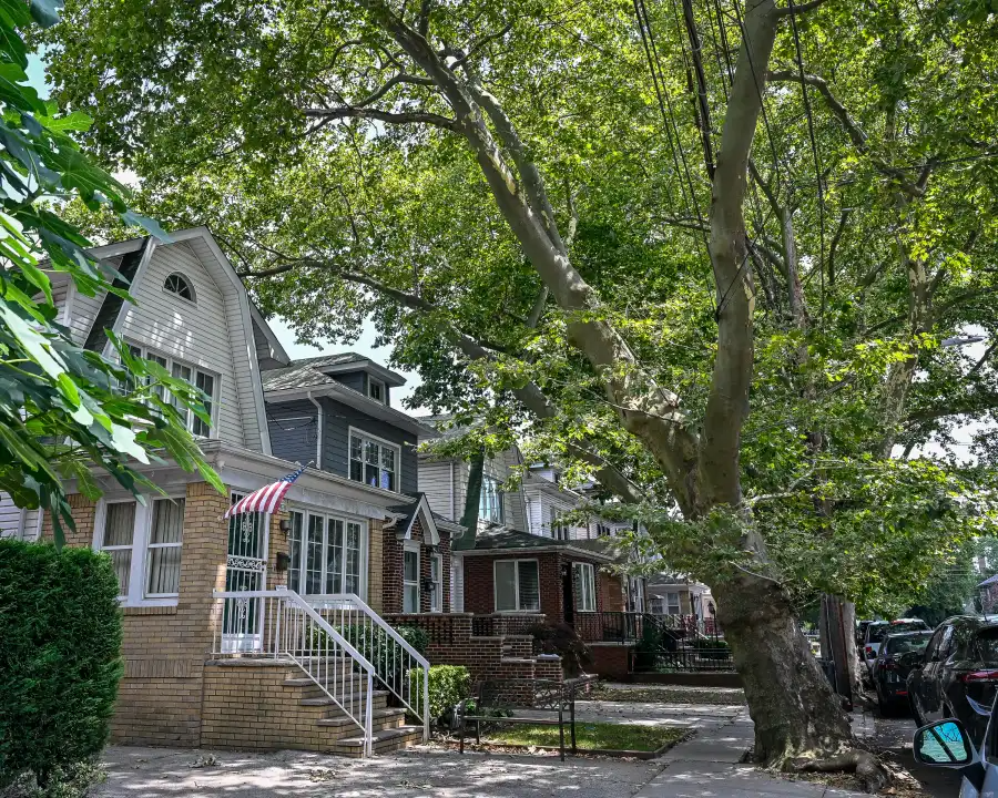 detached houses with large street trees on the sidewalk