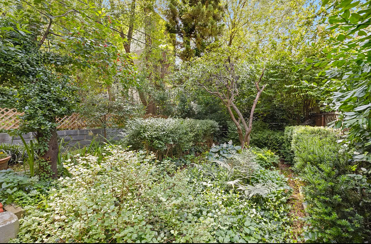 shrubs, trees and perennials growing in the garden