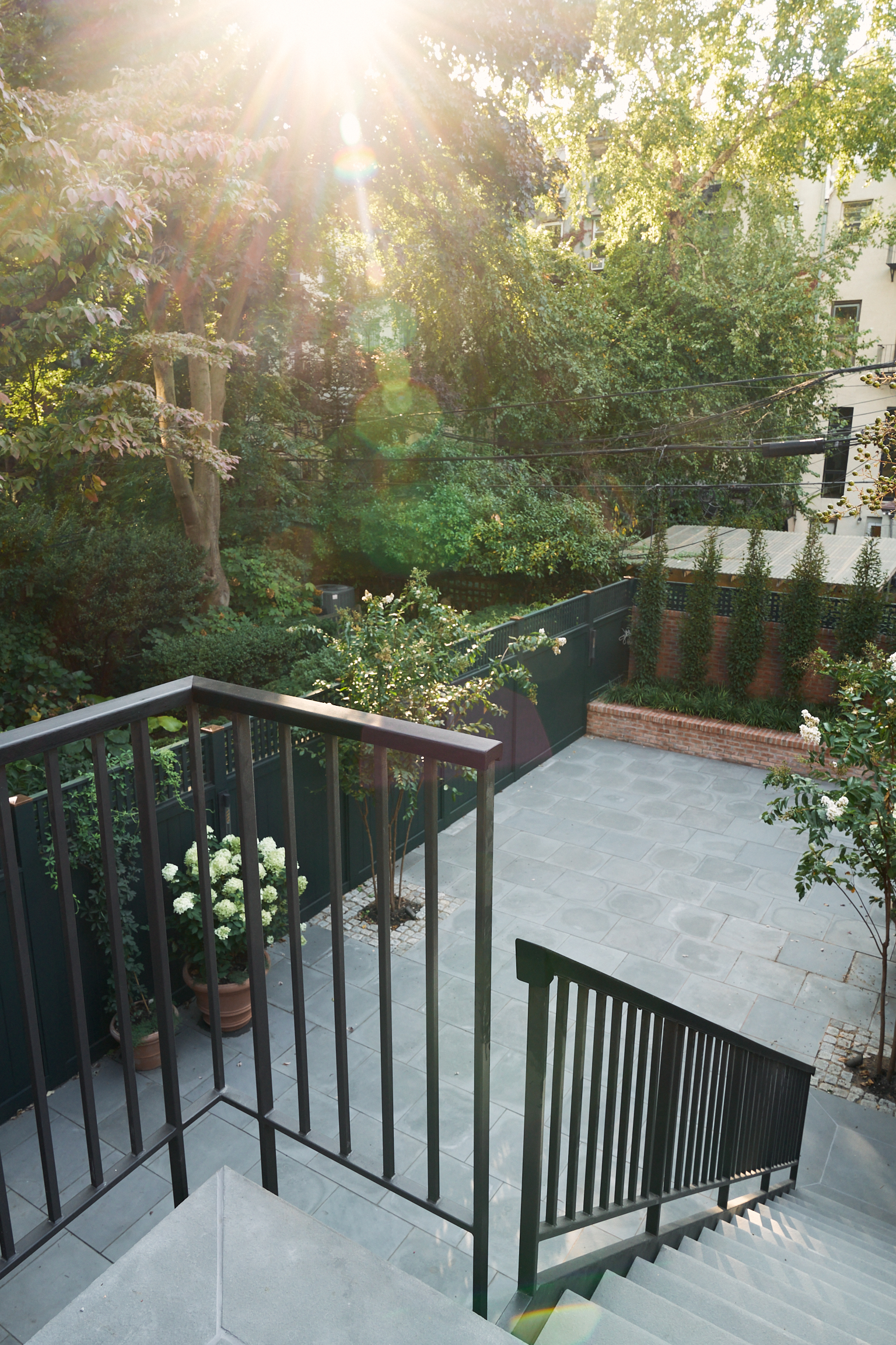 STEPS DOWN TO BACKYARD WITH SUN THROUGH TREES