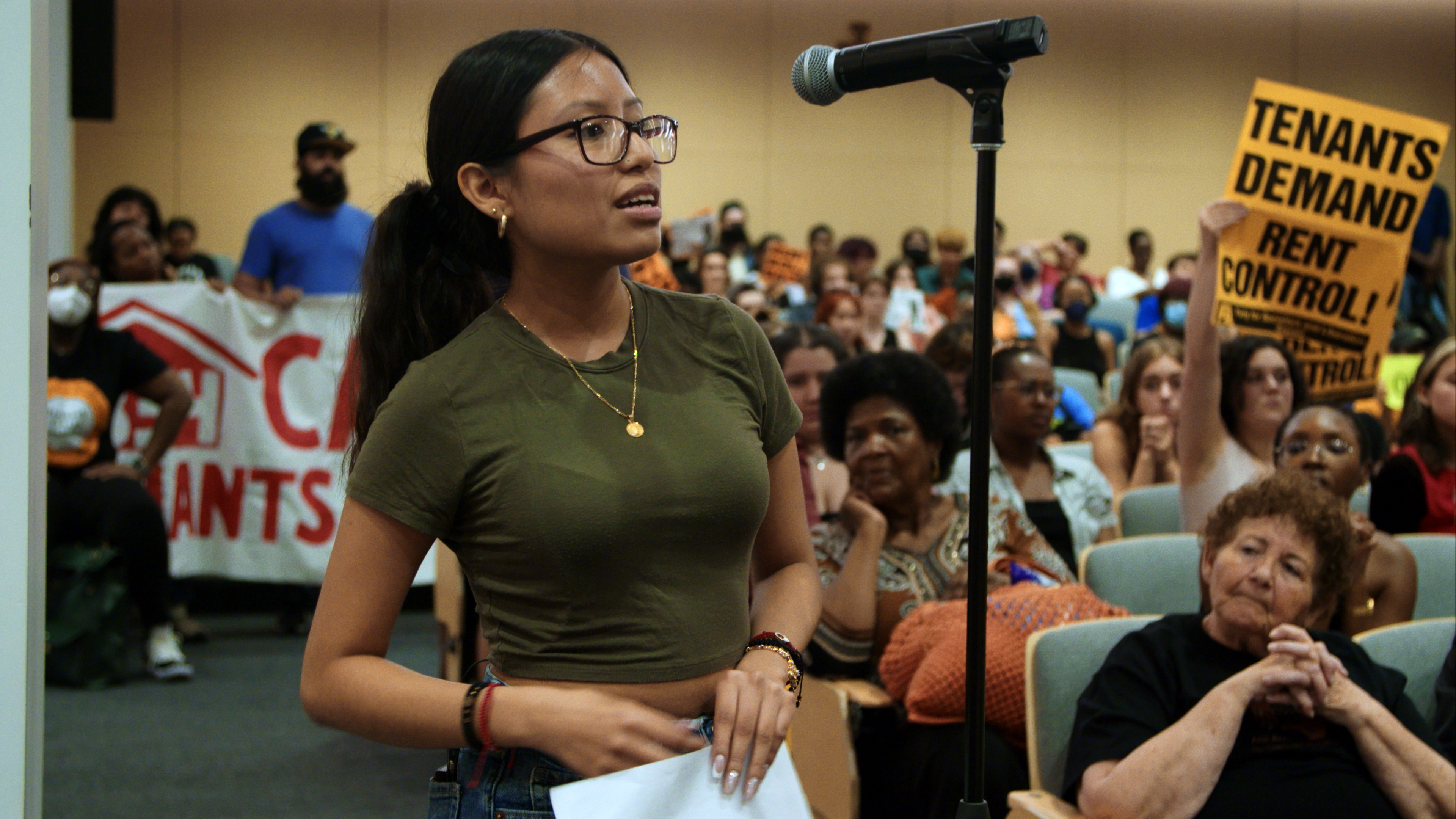 a woman stands at a microphone while others at the hearing show signs and banners