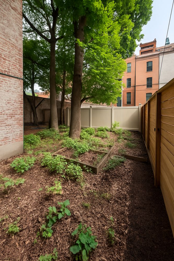 rear yard with a raised bed