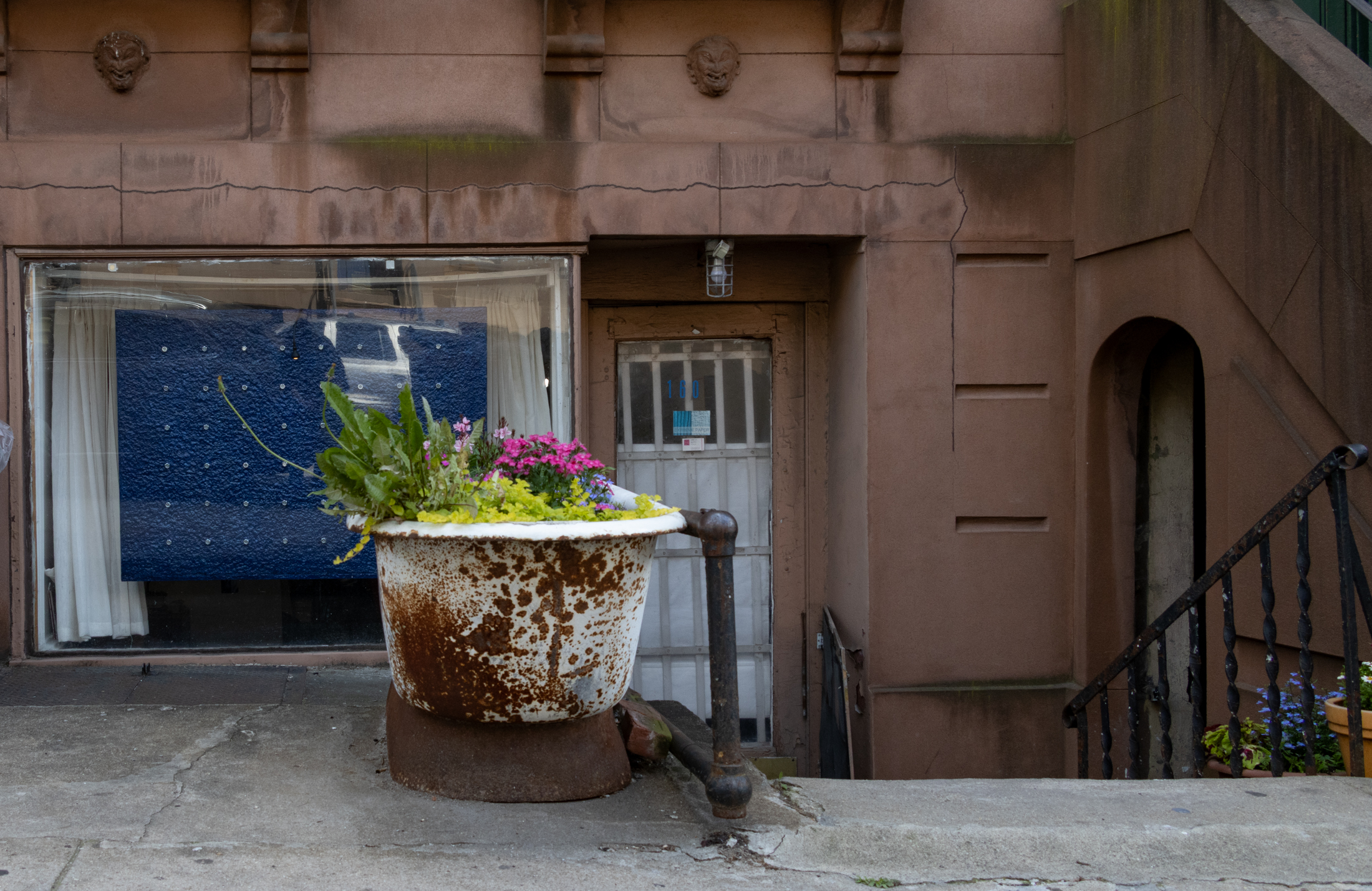 a bathtub filled with flowers outside a brownstone
