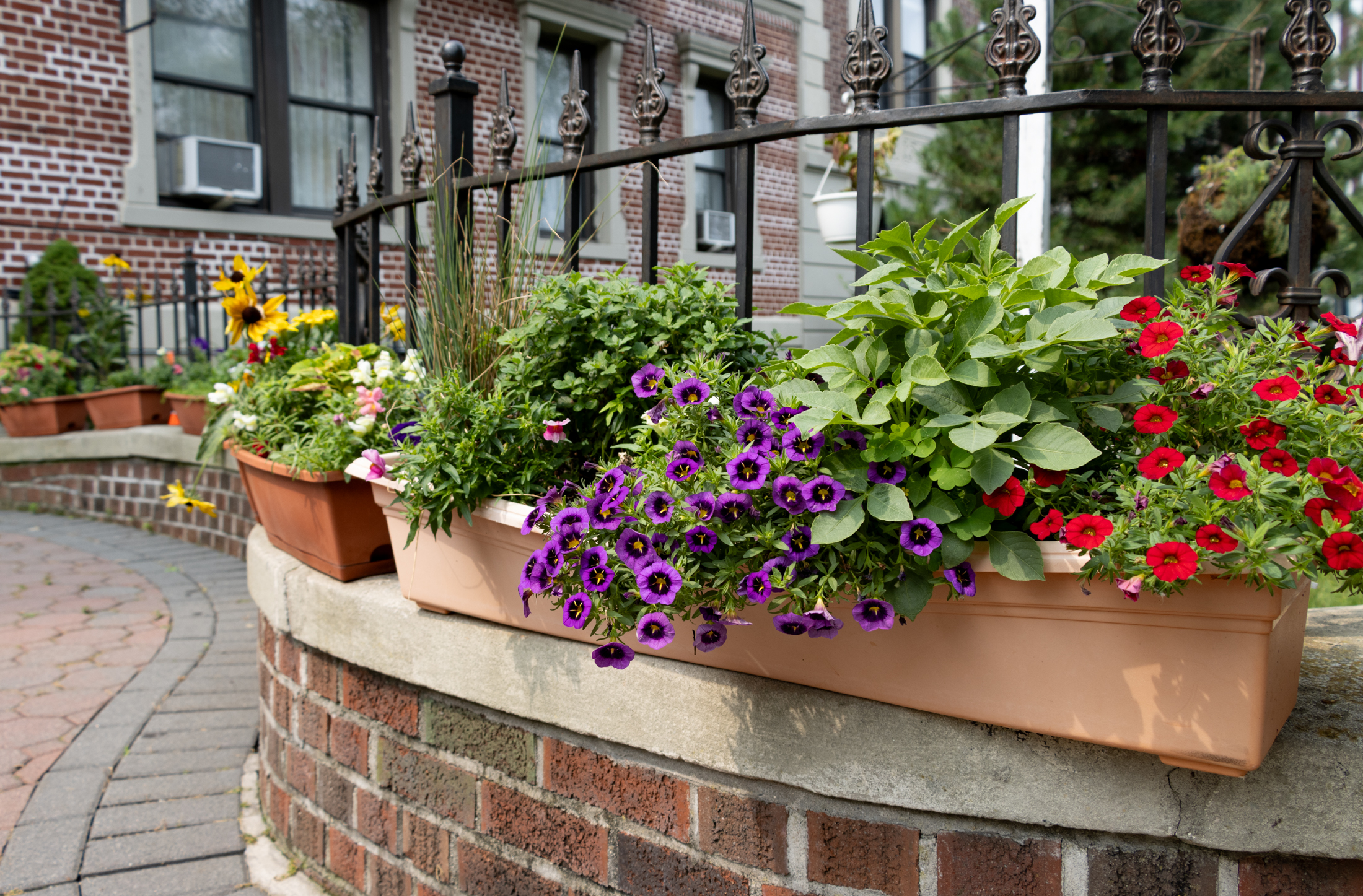 window boxes filled with flowers