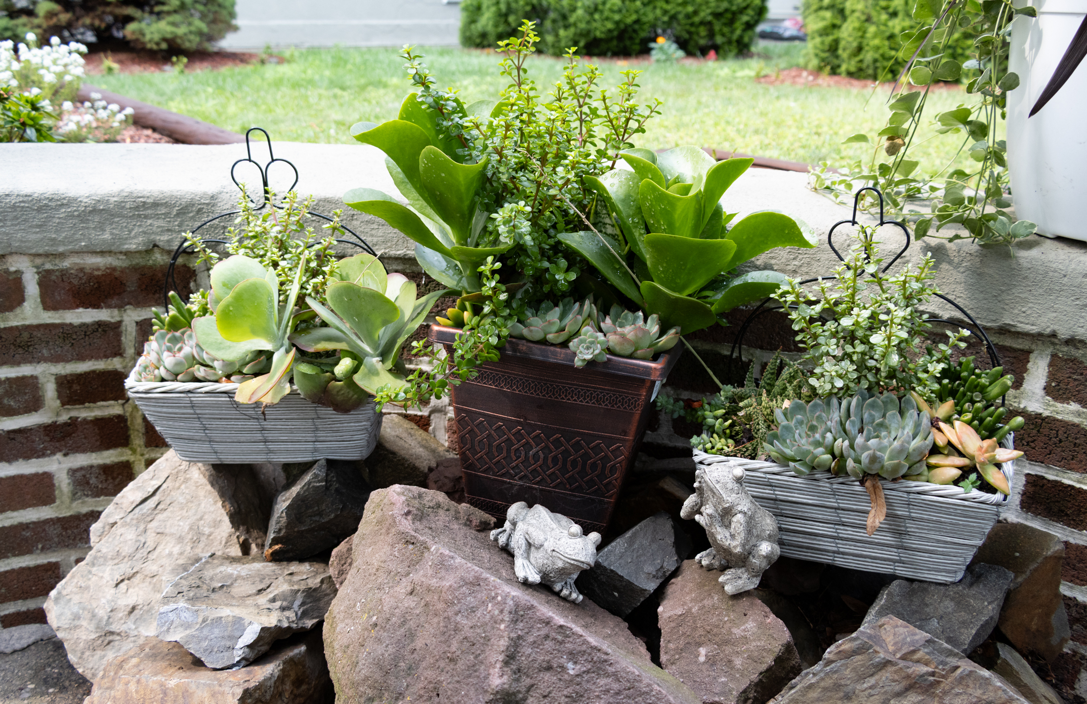 planters filled with sedum perched on top a pile of rocks