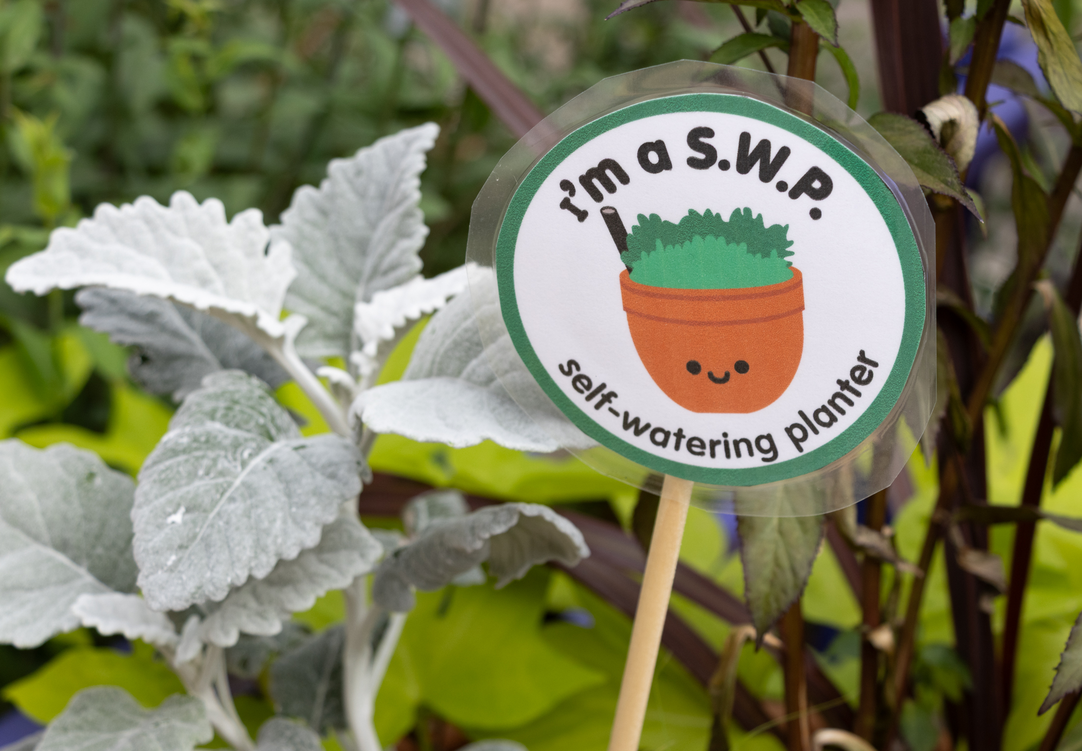 a sign indicating a self-watering planter