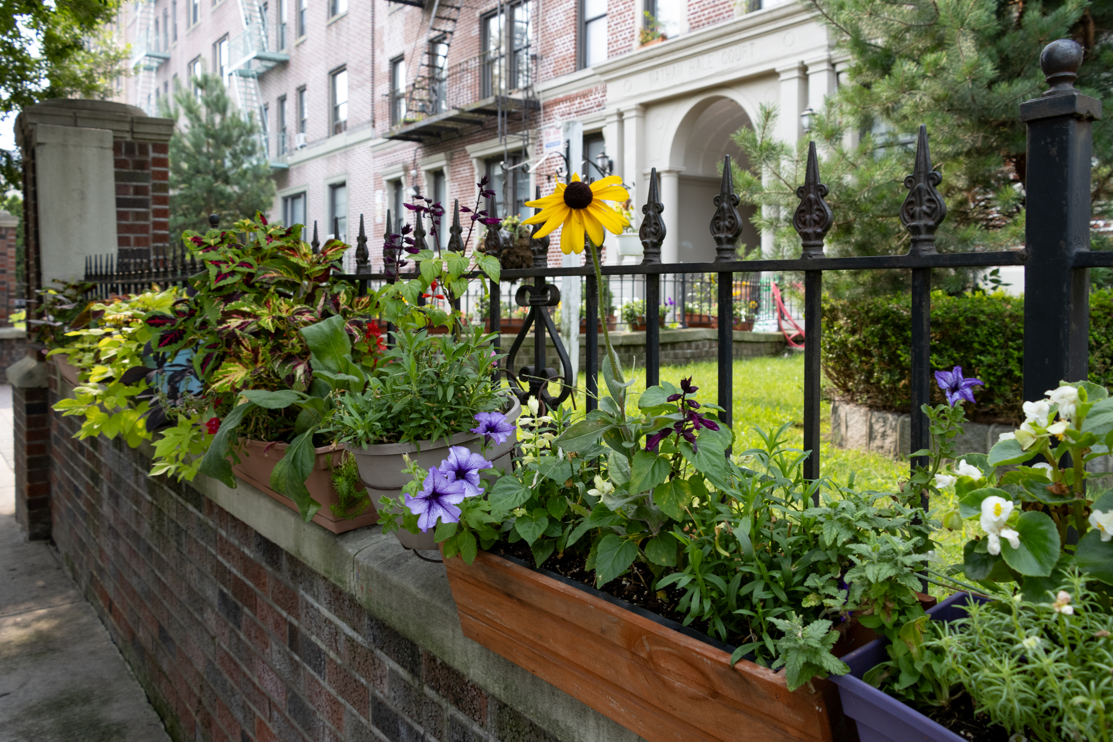 window boxes on top of a brick wall