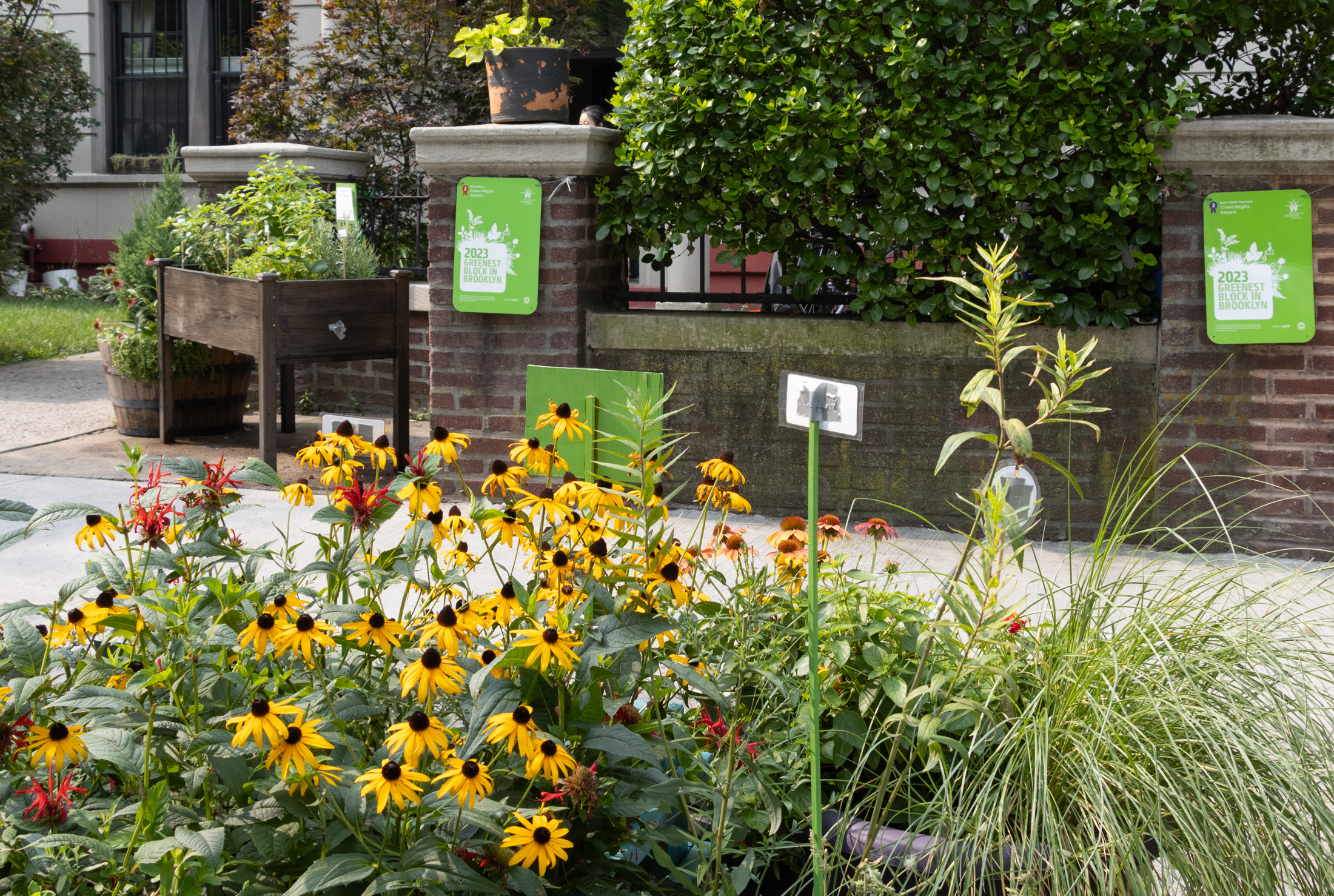 flowers and grasses grow in a sidewalk bed