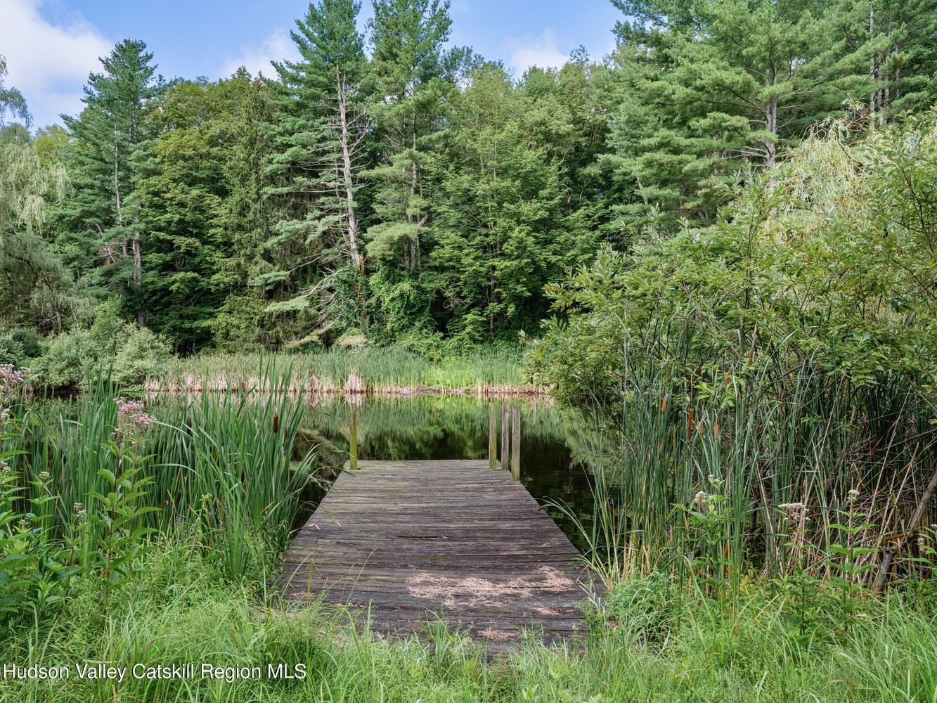 wood dock at pond