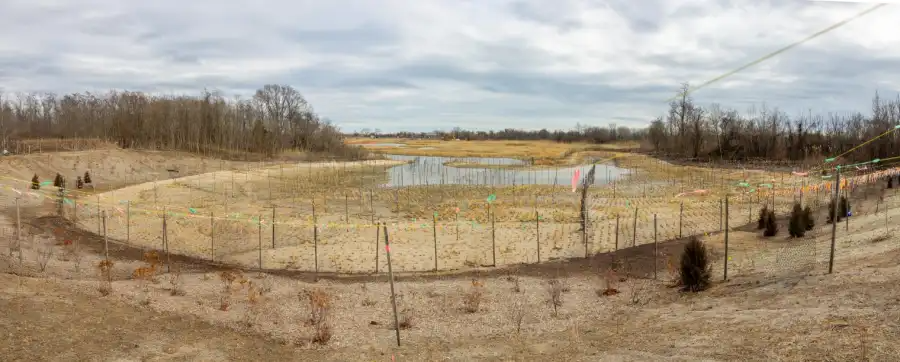 wetlands