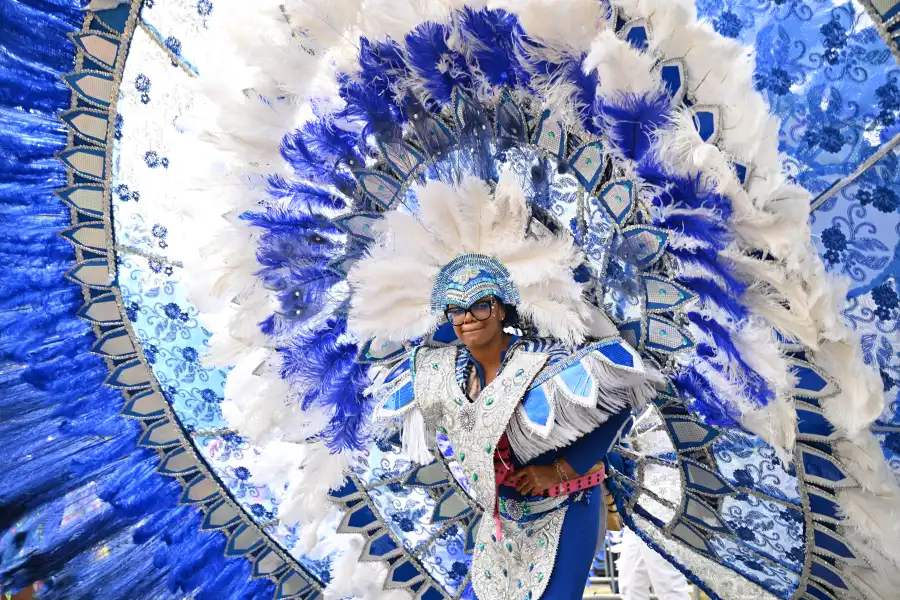 person in a blue and white costume