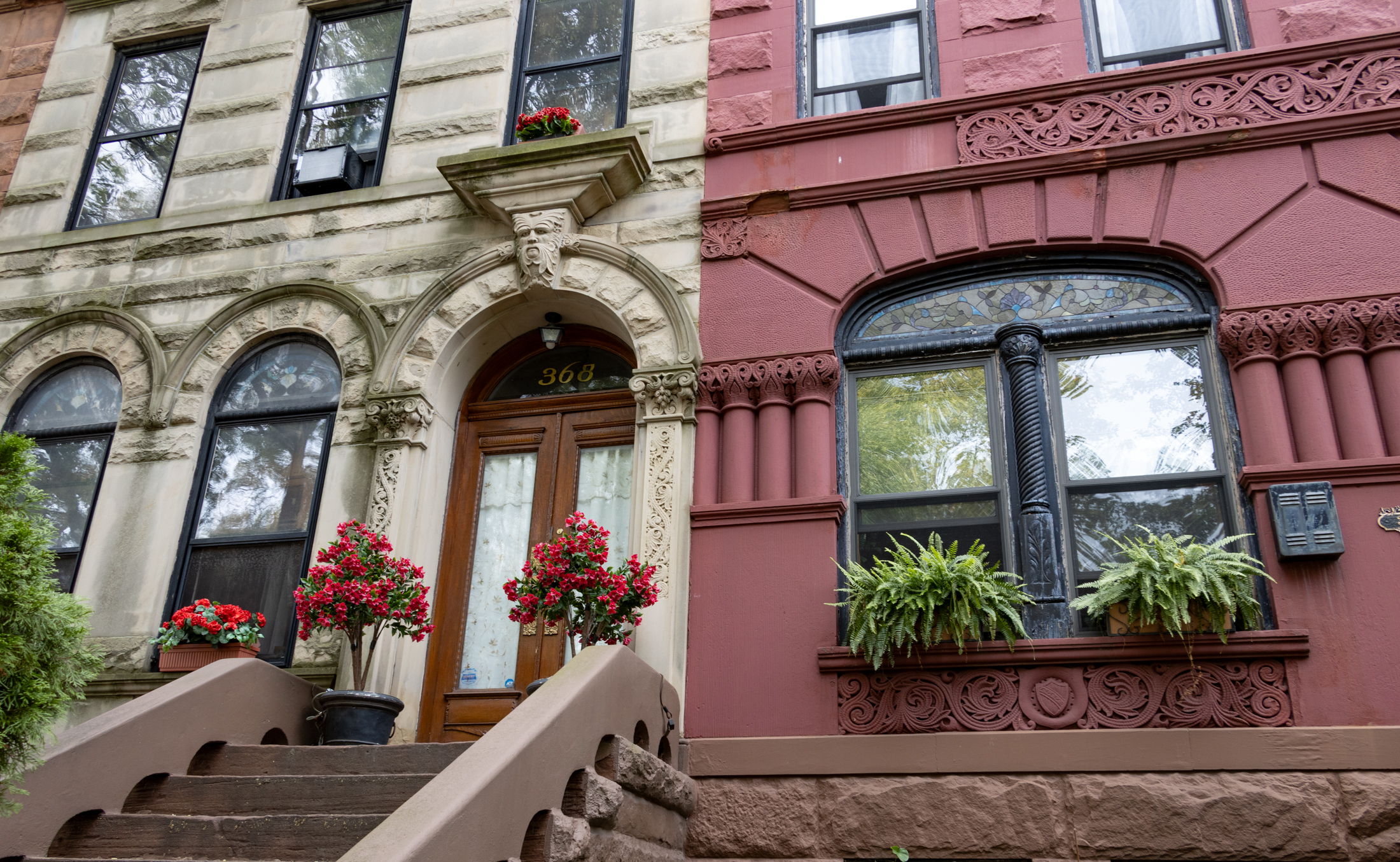 rowhouses with flowers on a stoop and ferns in windows
