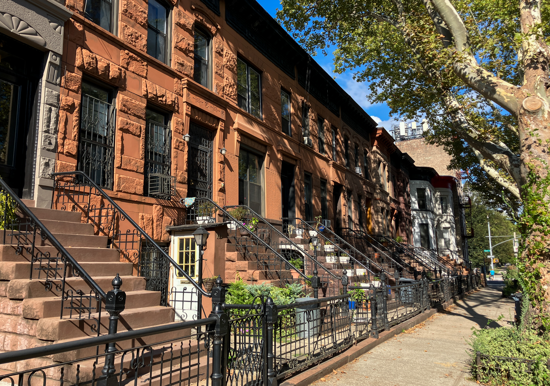 row of brownstones with stoops