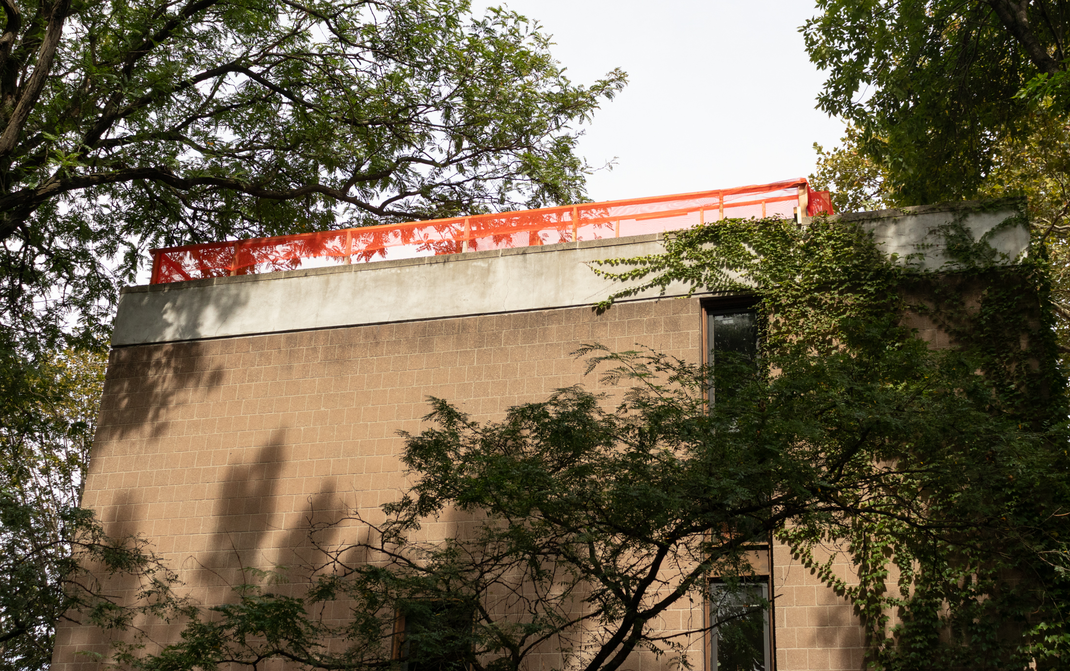 orange netting on roof