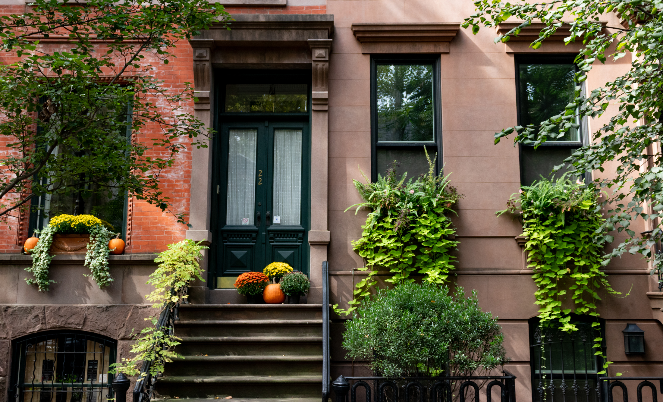 window boxes on a row house